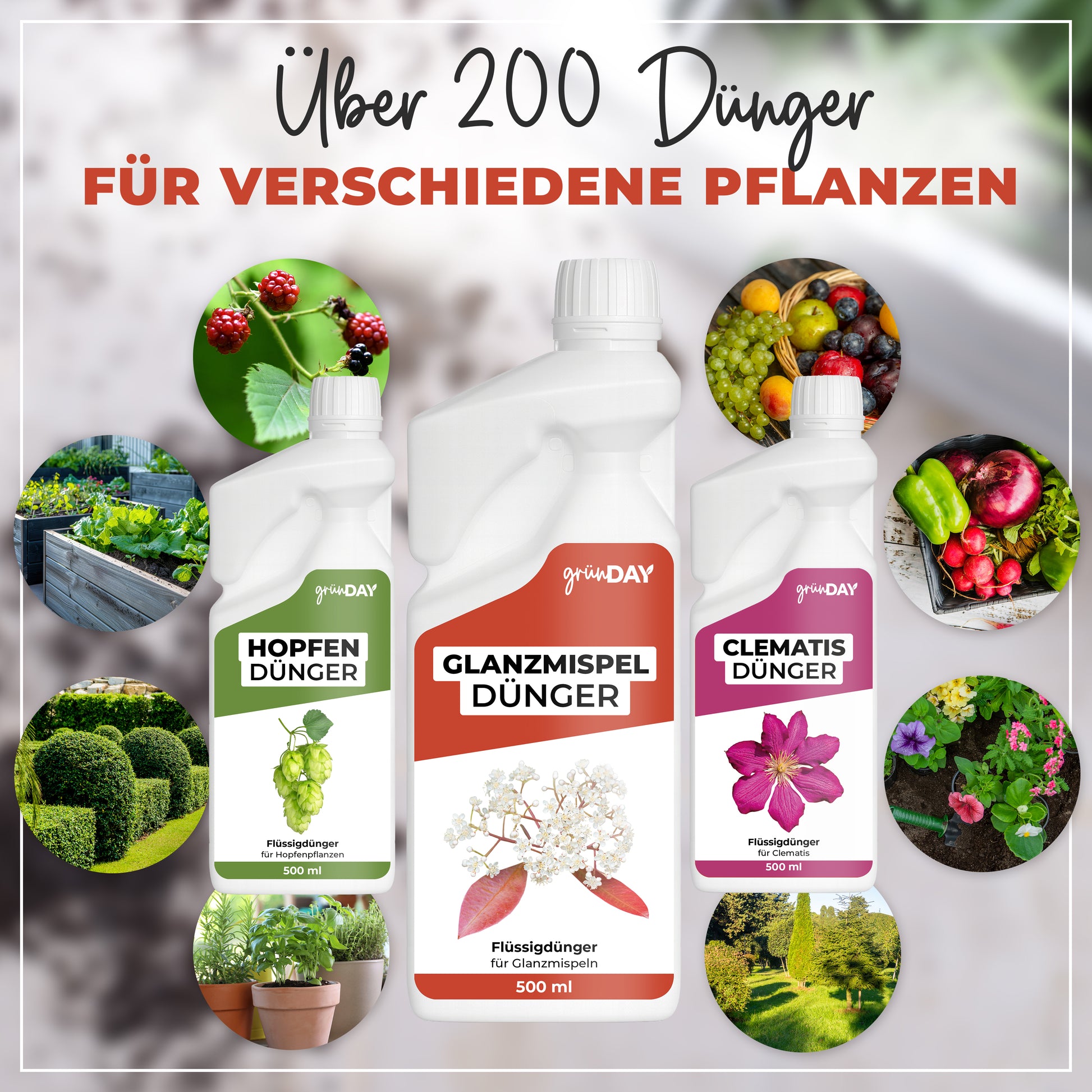 Gründay Glanzmispeldünger – Produktansicht 7