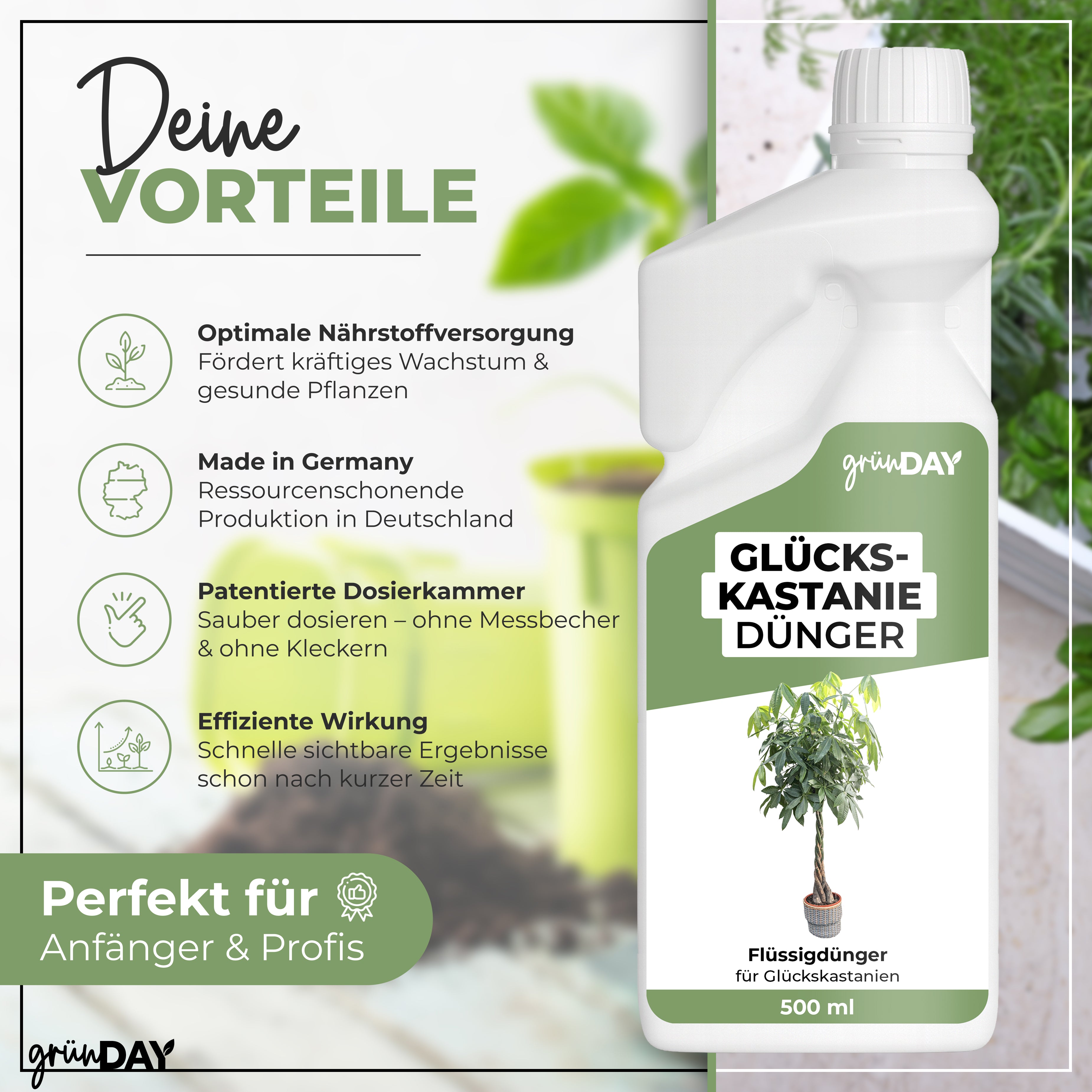Gründay Glückskastaniedünger – Produktansicht 2