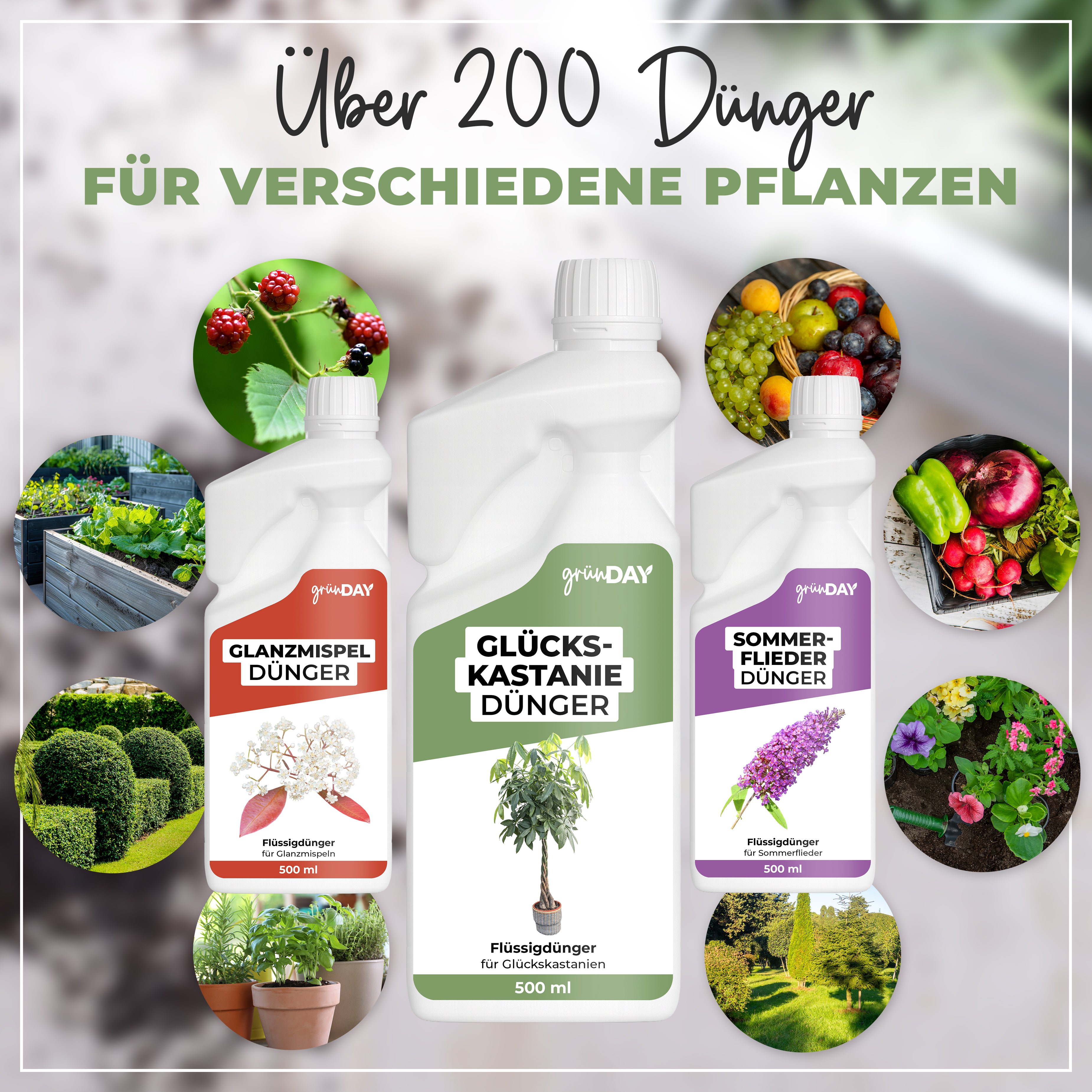 Gründay Glückskastaniedünger – Produktansicht 7