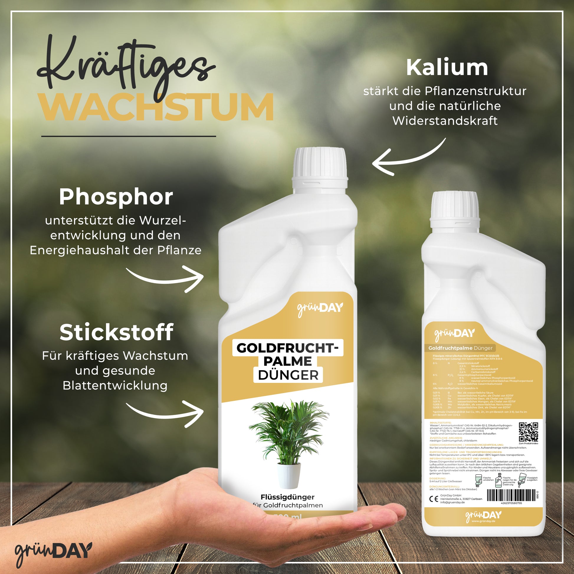 Gründay Goldfruchtpalme Dünger – Produktansicht 4