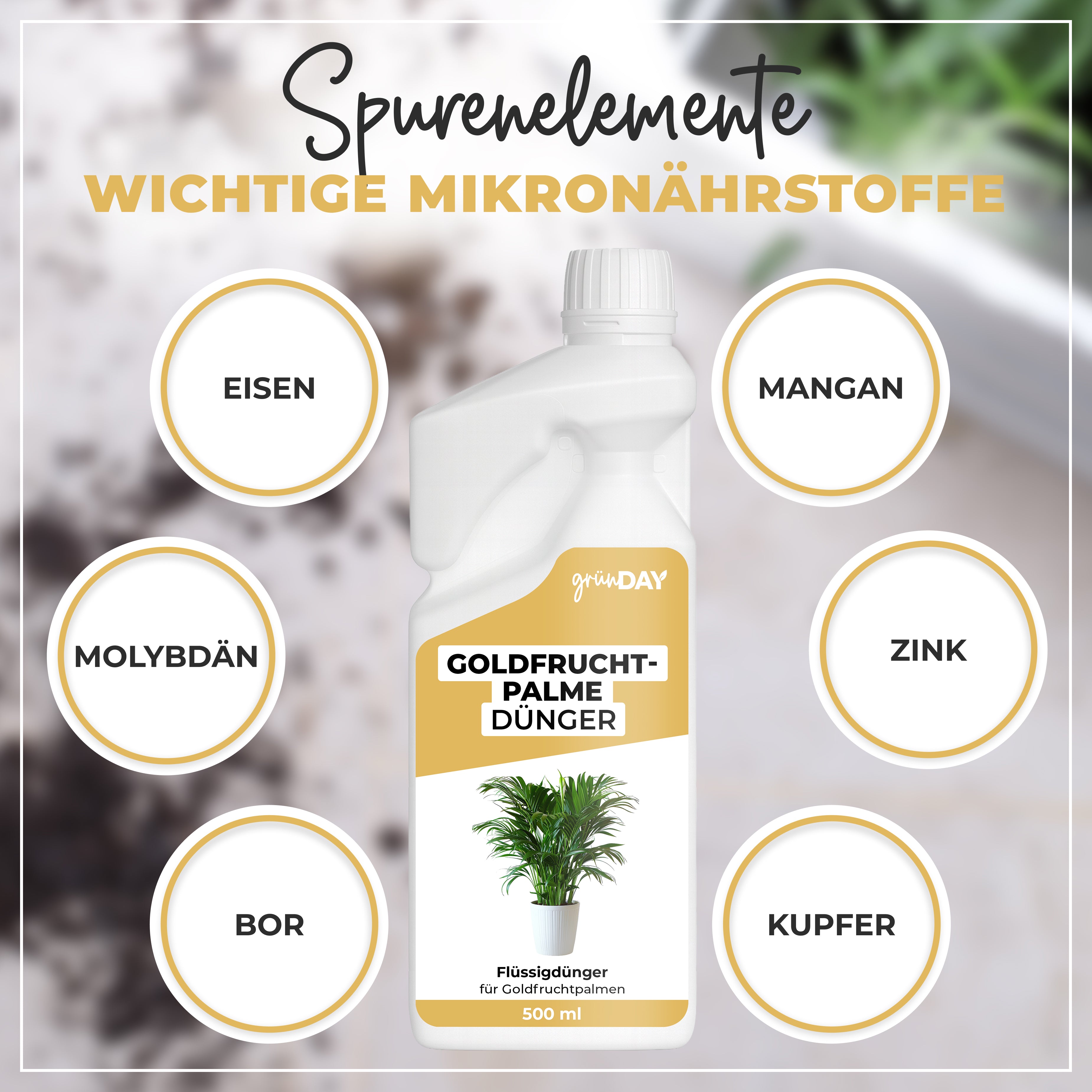 Gründay Goldfruchtpalme Dünger – Produktansicht 5