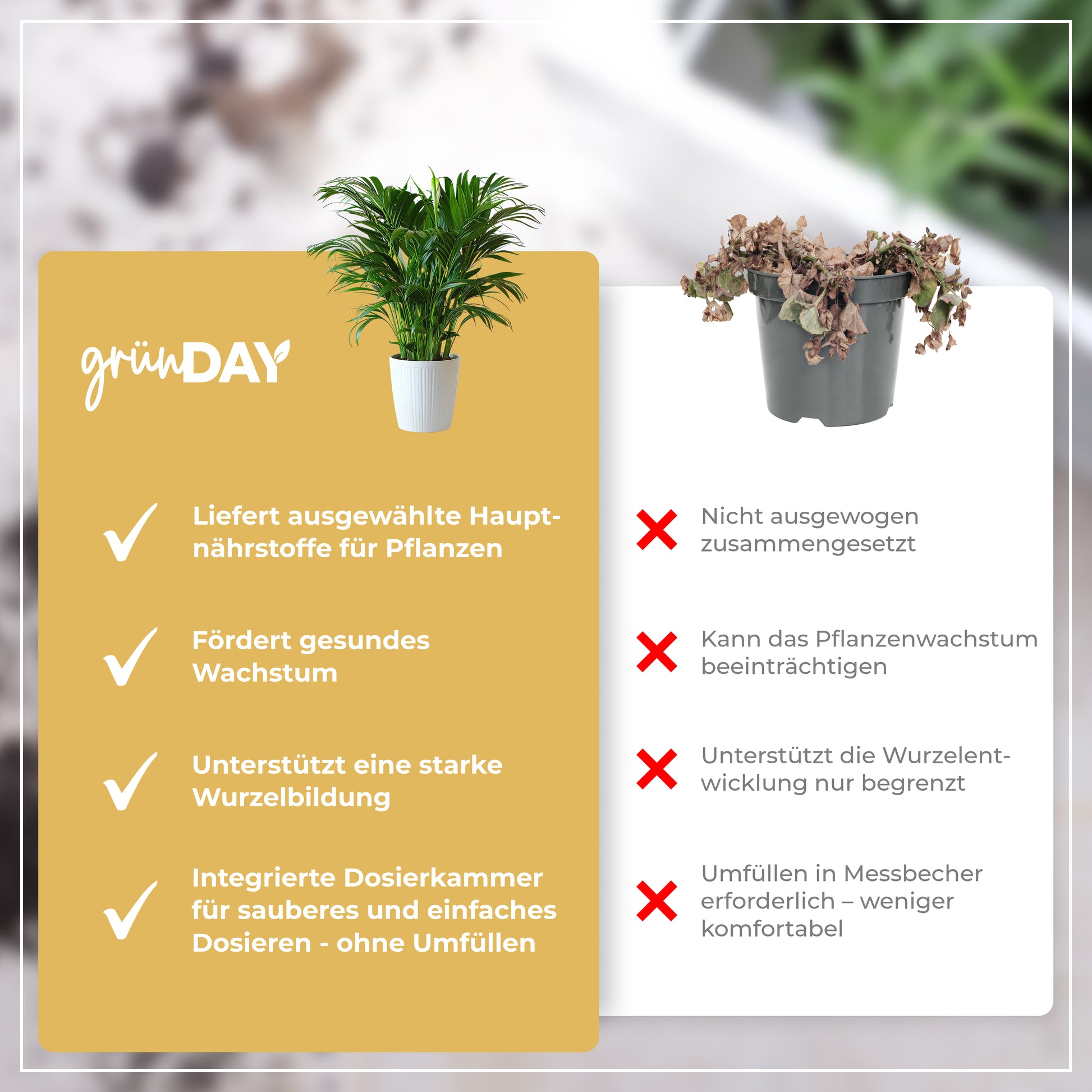 Gründay Goldfruchtpalme Dünger – Produktansicht 6