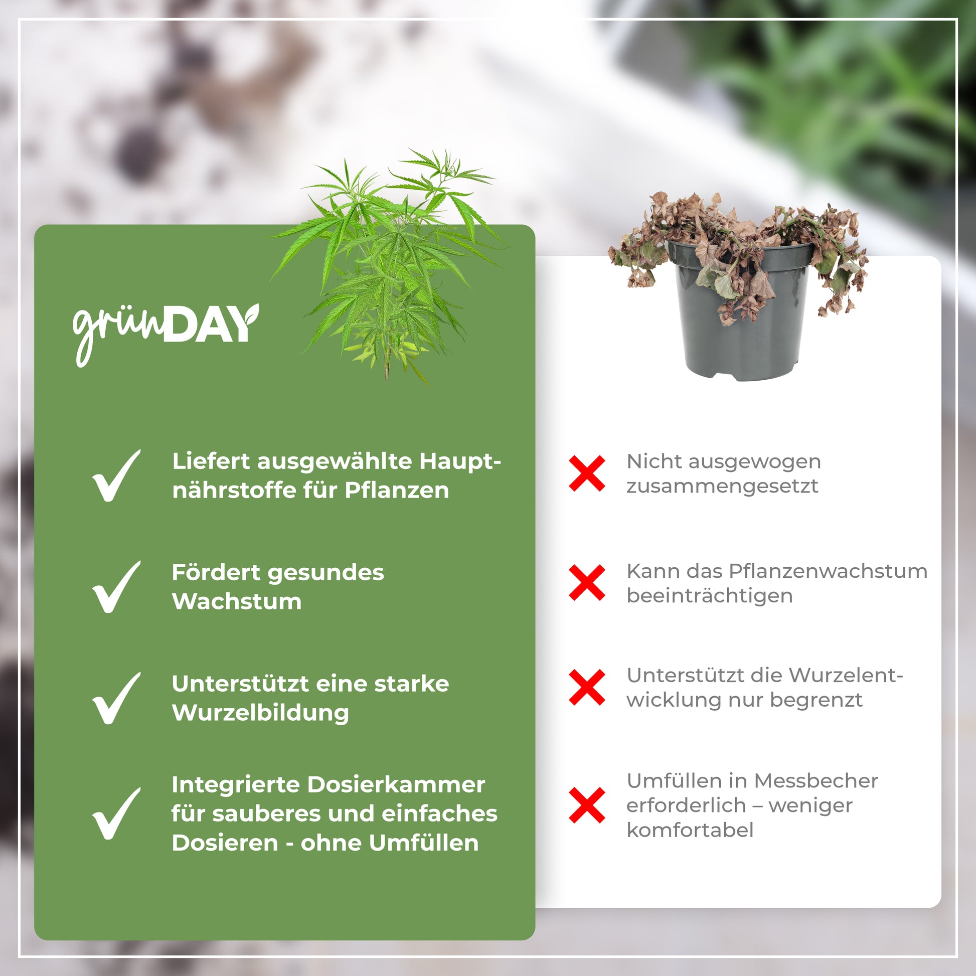 Gründay Grow-Dünger – Produktansicht 6
