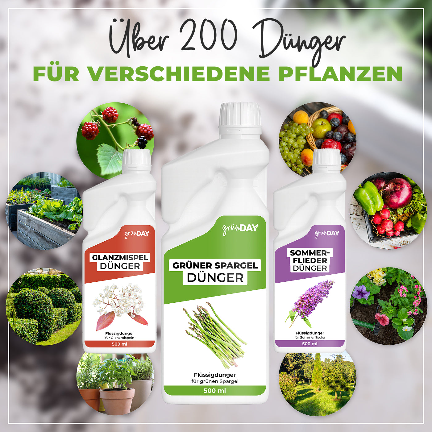Gründay Grüner Spargel Dünger – Produktansicht 7