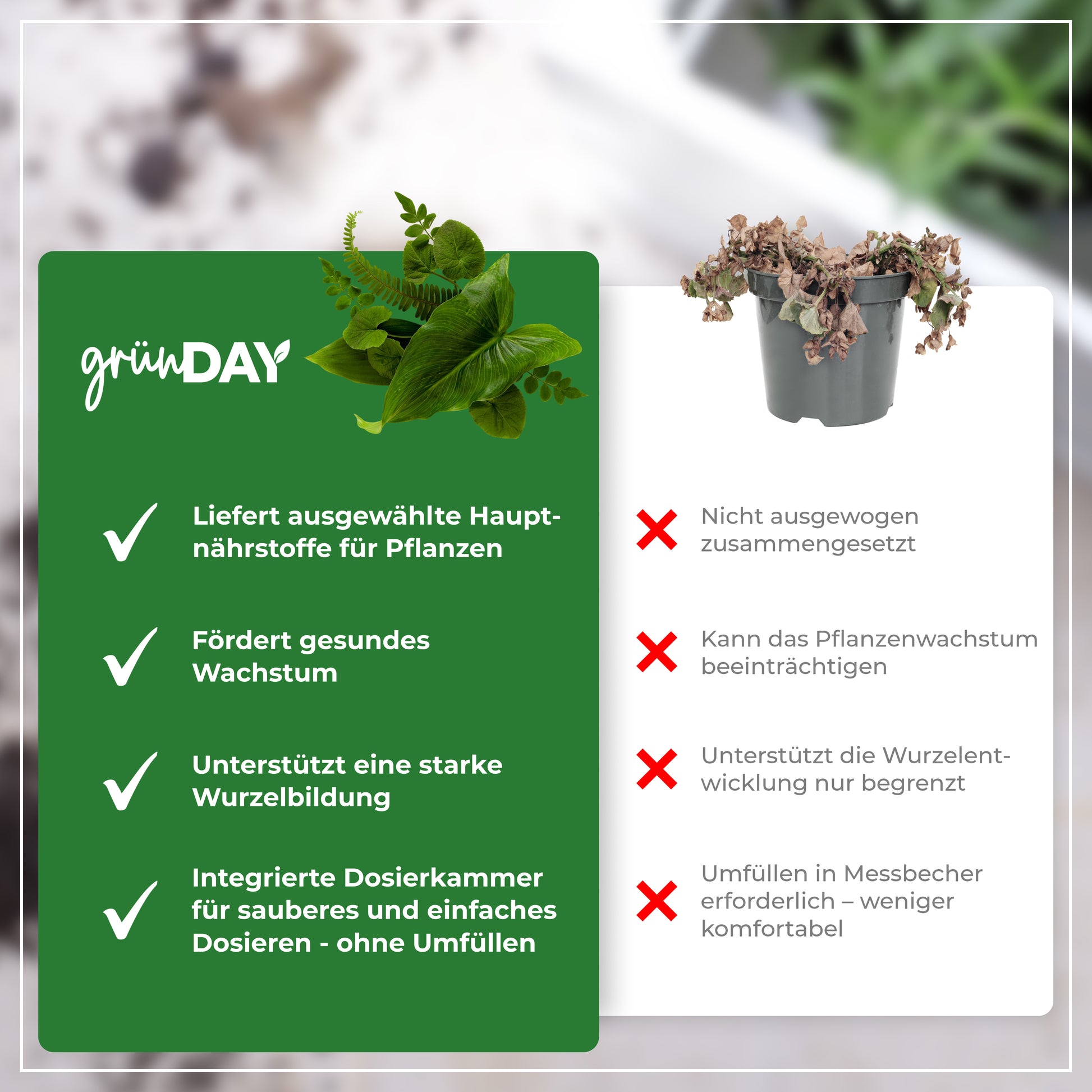 Gründay Grünpflanzendünger – Produktansicht 6