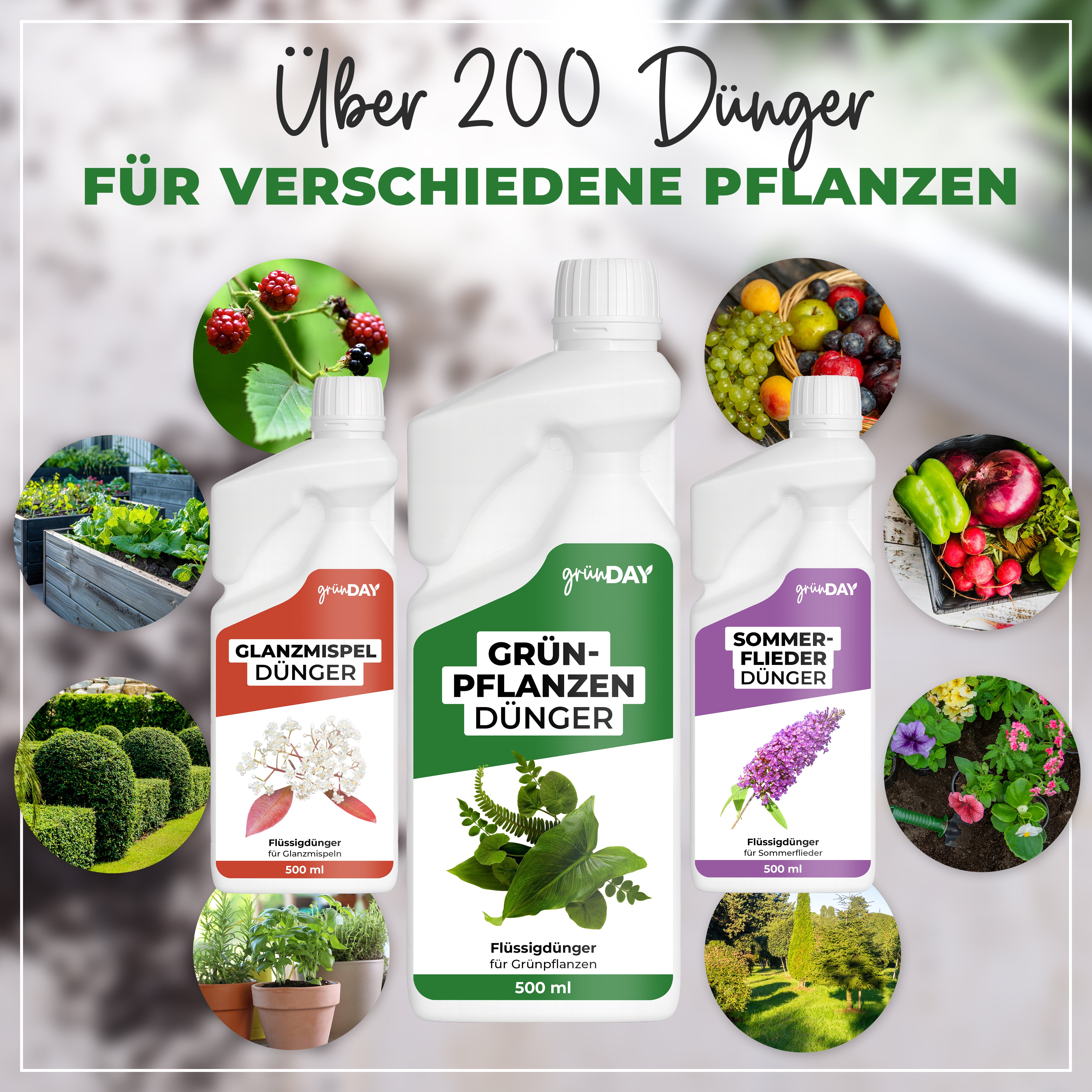 Gründay Grünpflanzendünger – Produktansicht 7