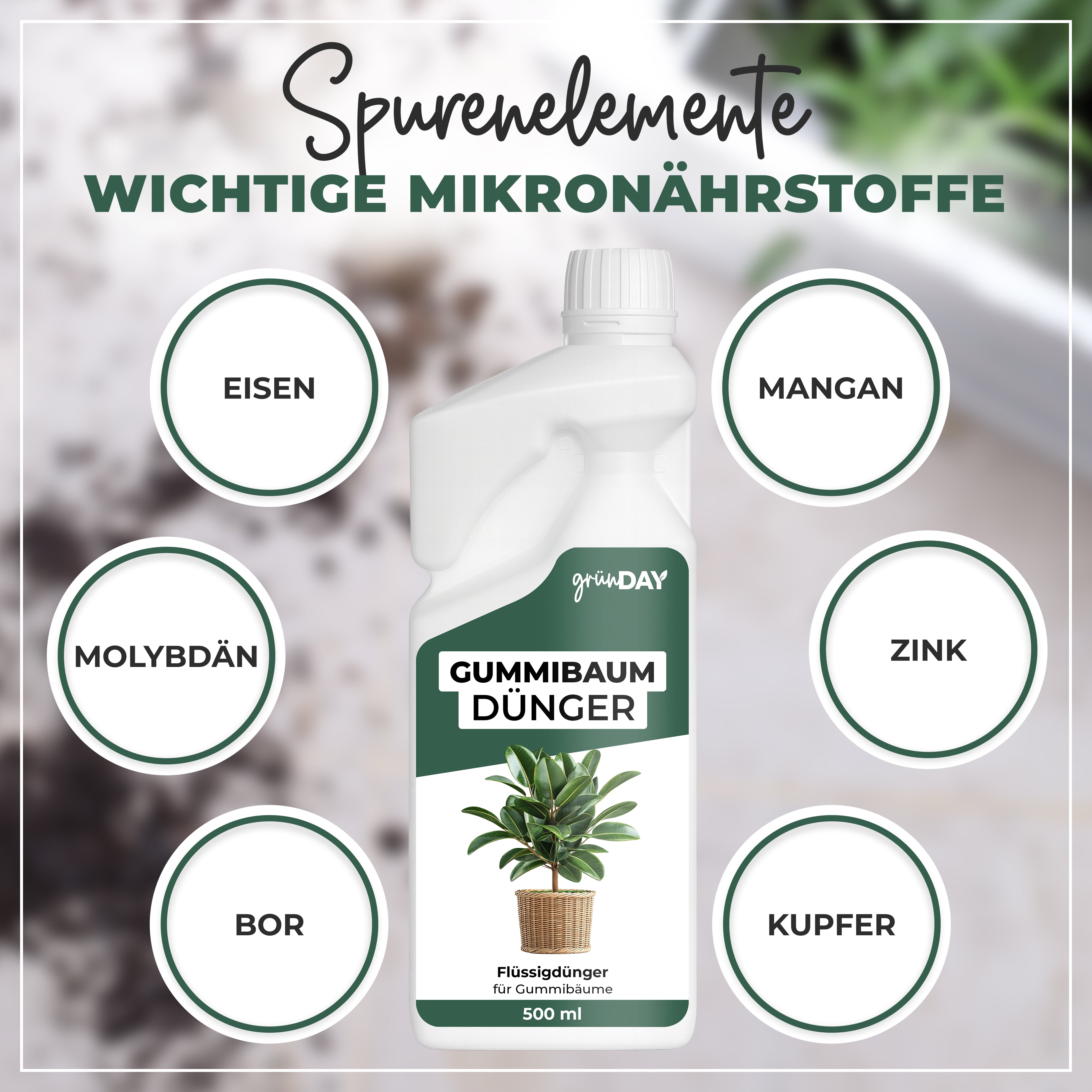 Gründay Gummibaumdünger – Produktansicht 5