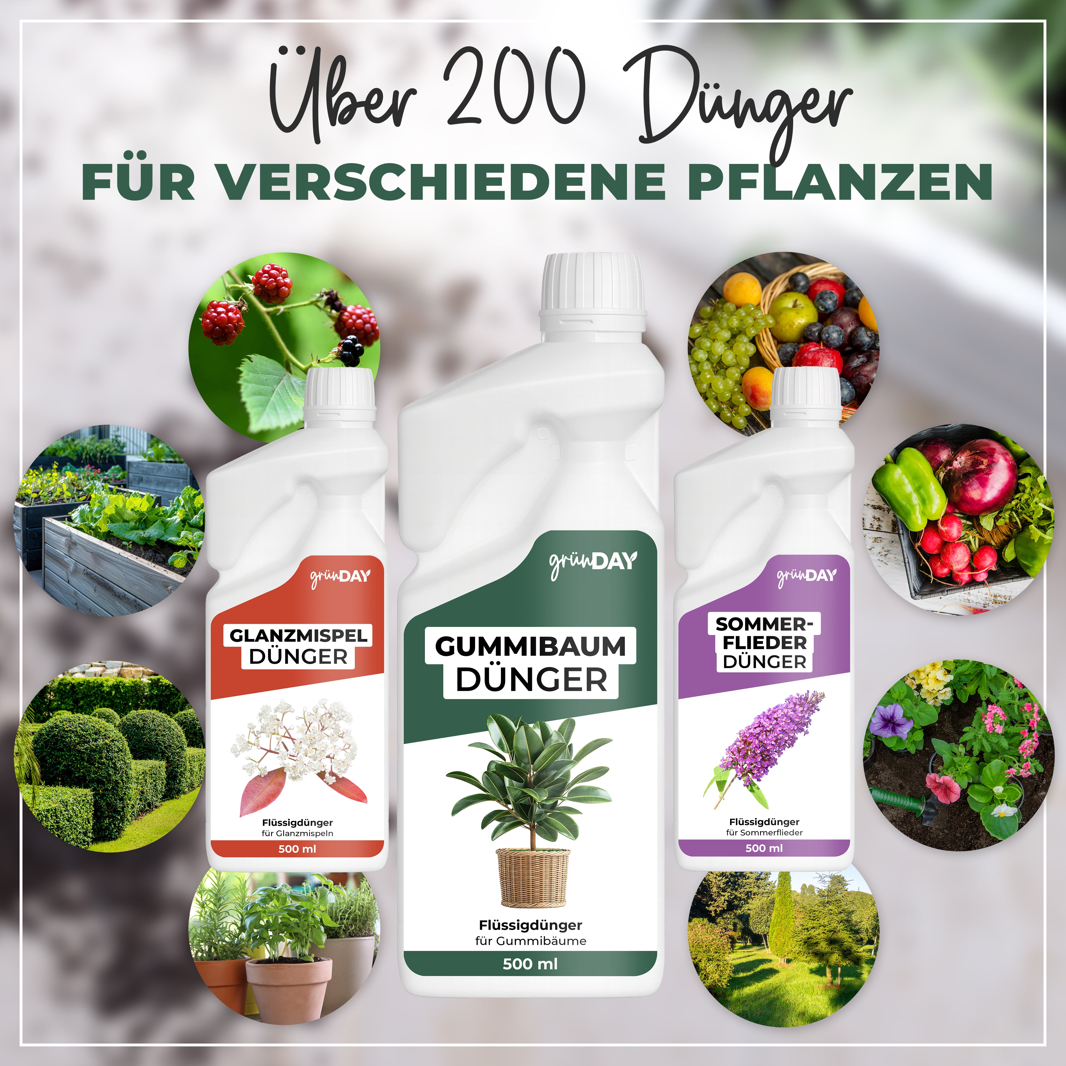 Gründay Gummibaumdünger – Produktansicht 7