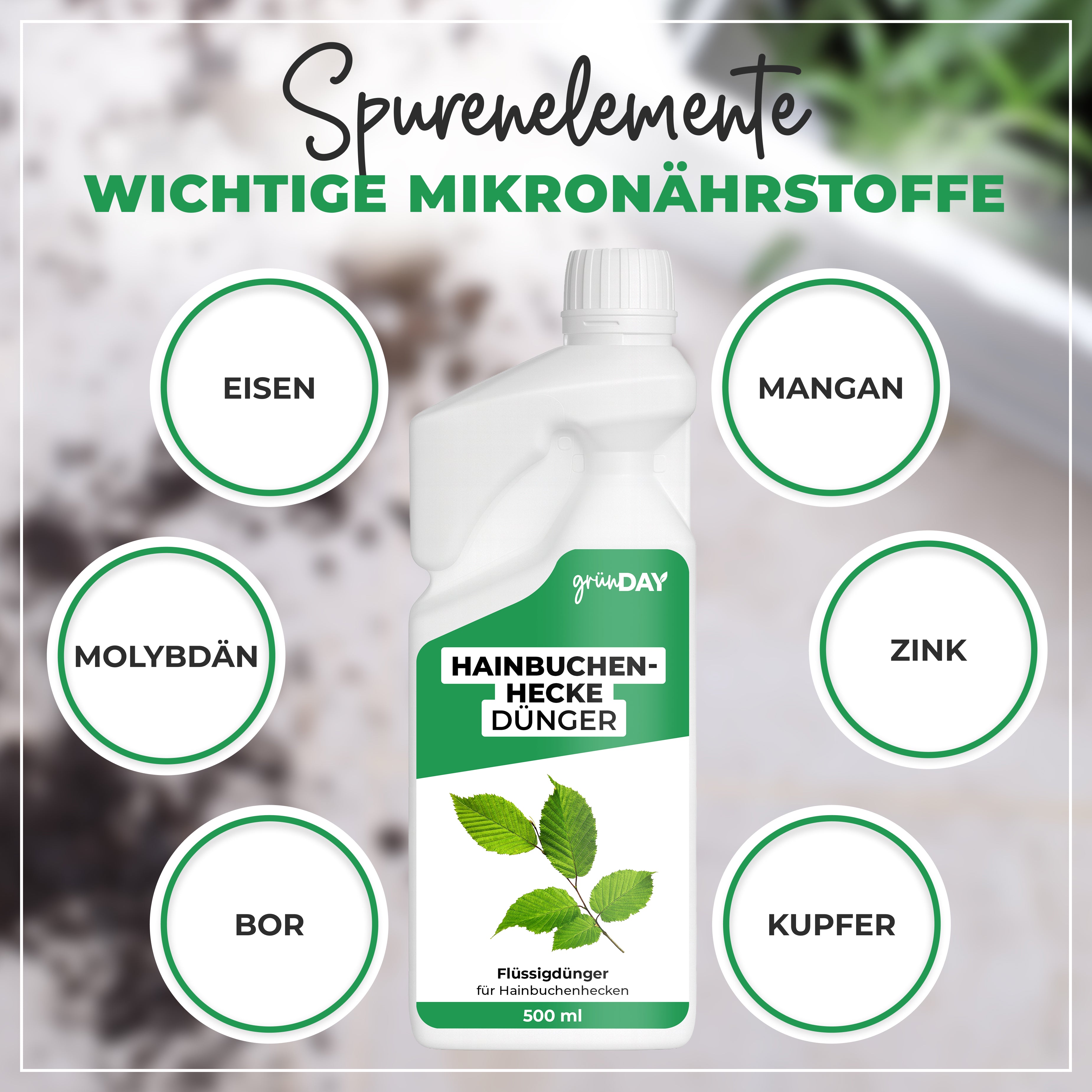Gründay Hainbuchenhecke Dünger – Produktansicht 5