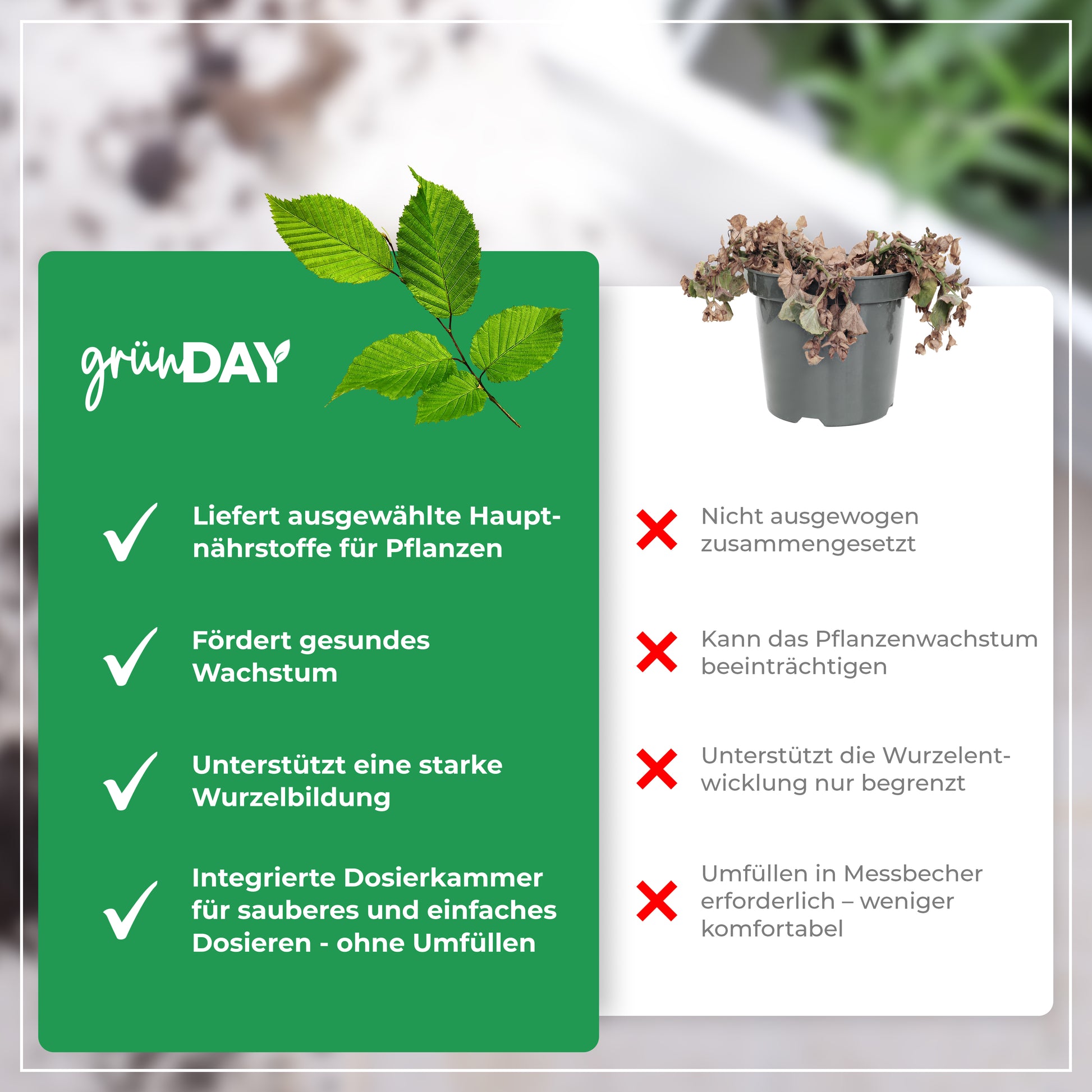 Gründay Hainbuchenhecke Dünger – Produktansicht 6