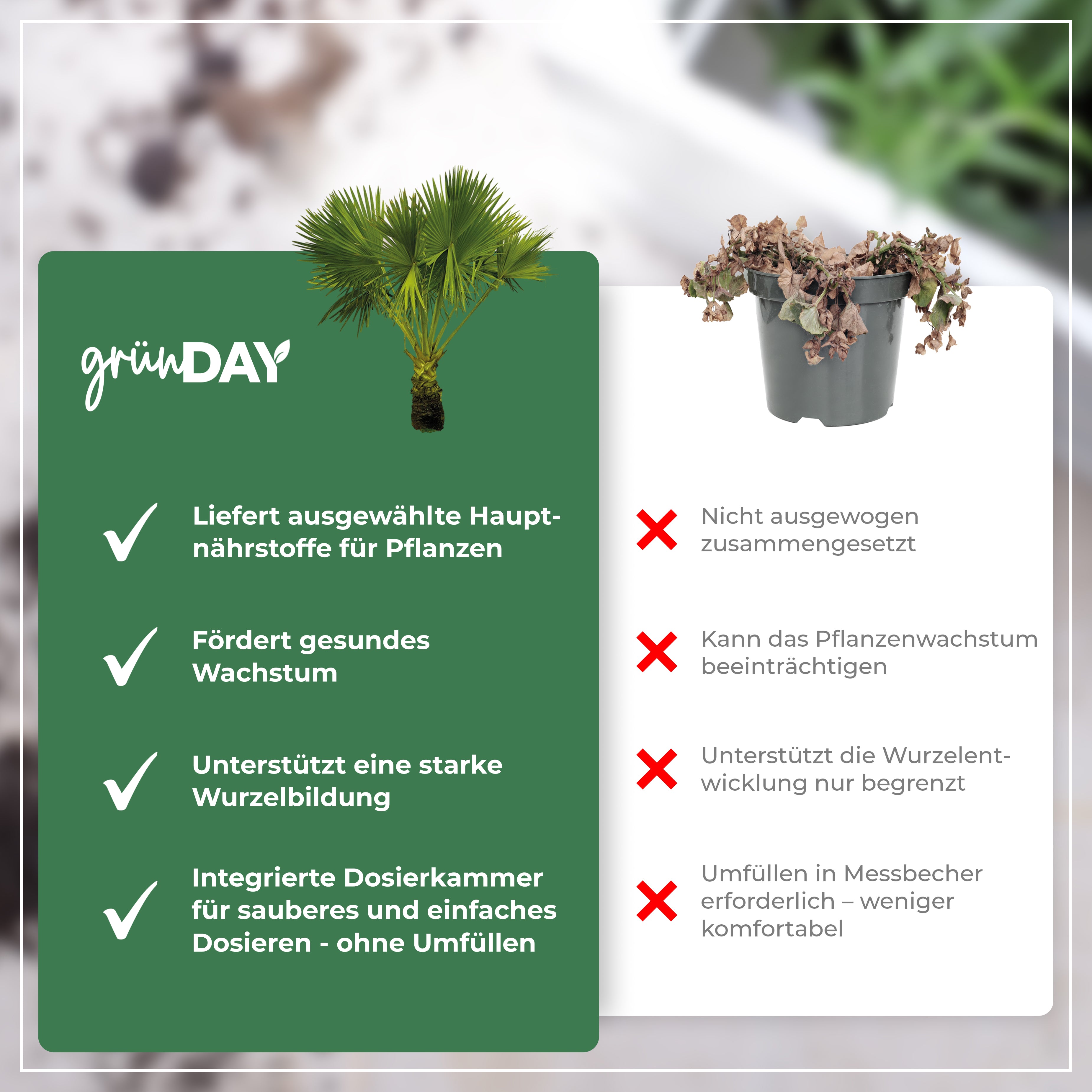 Gründay Hanfpalmendünger – Produktansicht 6