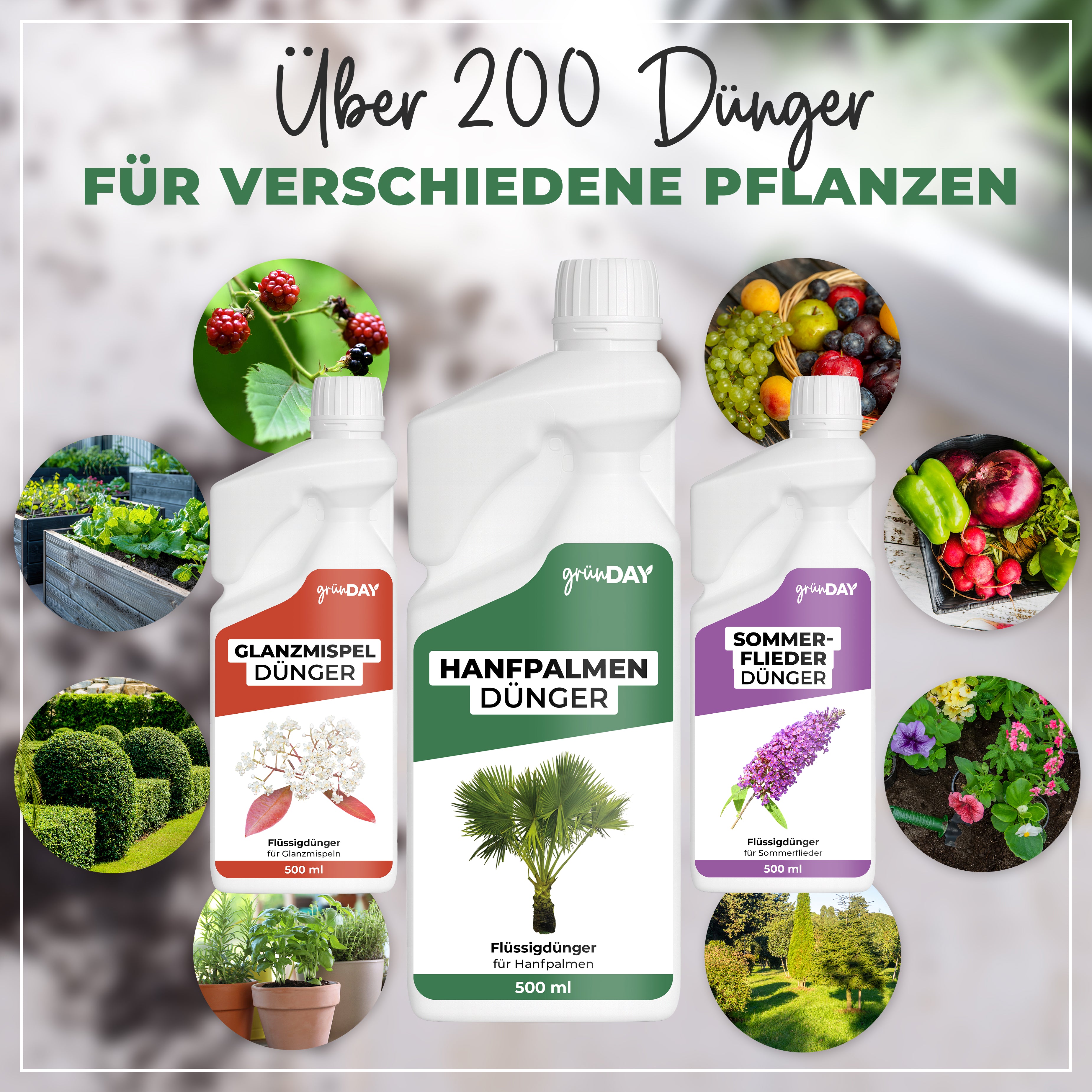 Gründay Hanfpalmendünger – Produktansicht 7