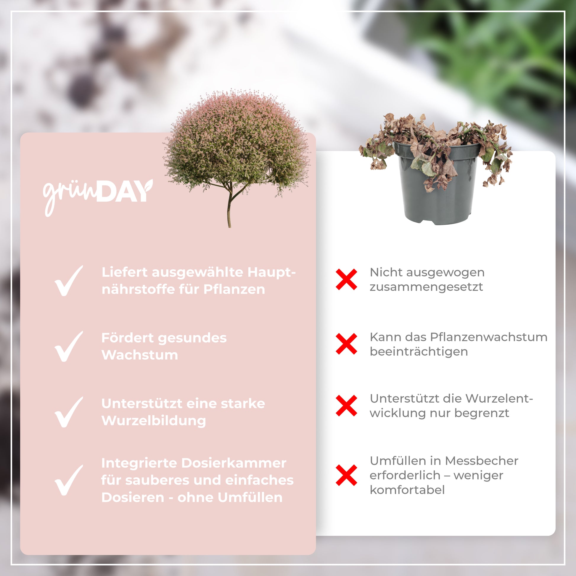Gründay Harlekinweide Dünger – Produktansicht 6