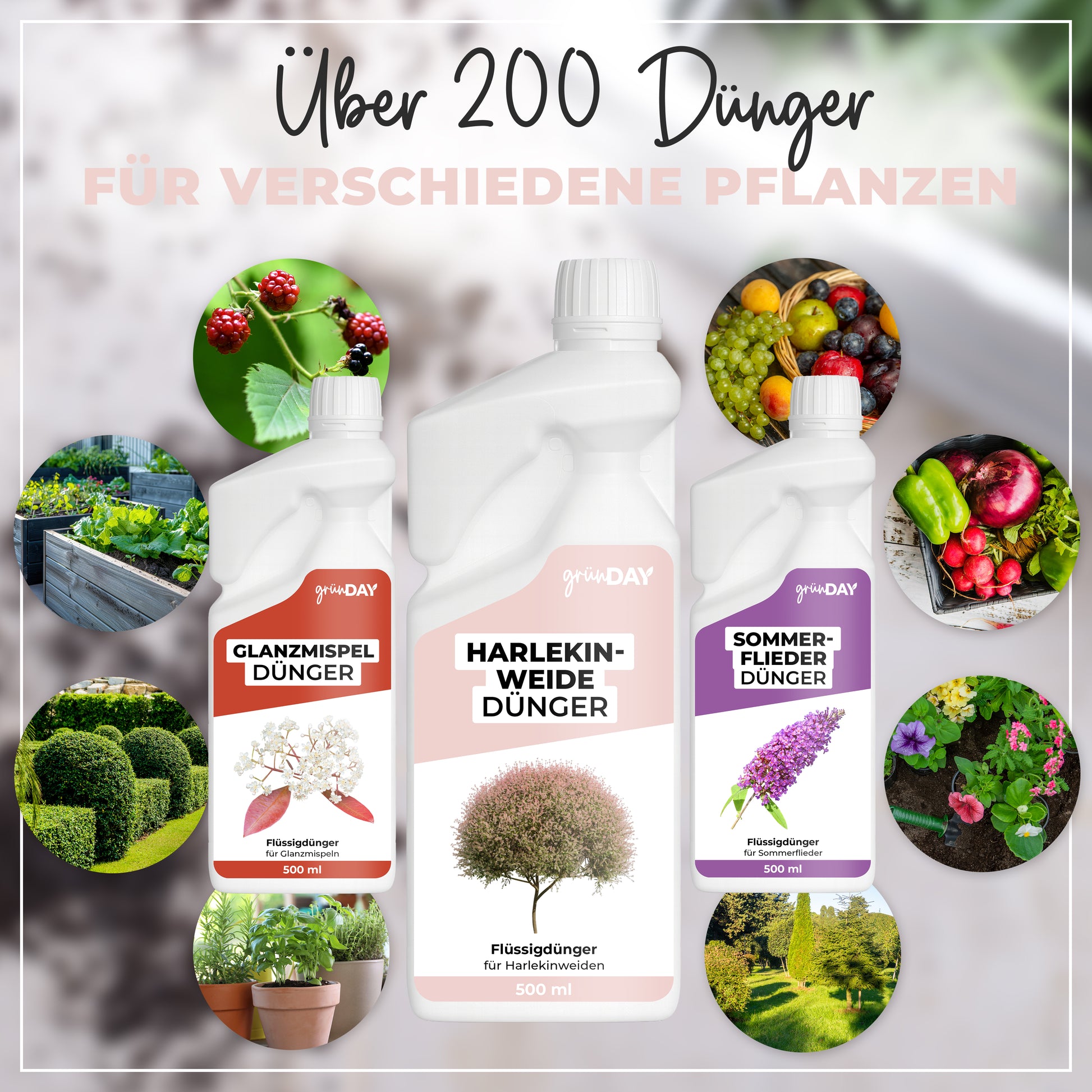 Gründay Harlekinweide Dünger – Produktansicht 7