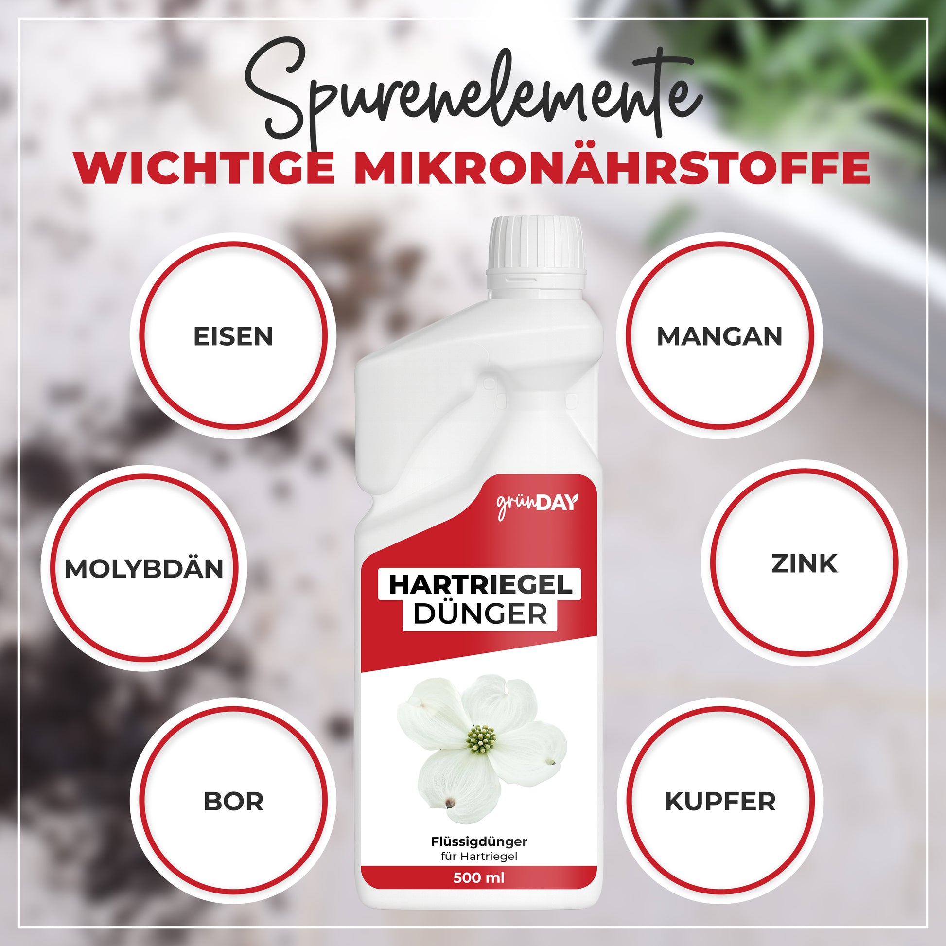 Gründay Hartriegeldünger – Produktansicht 5