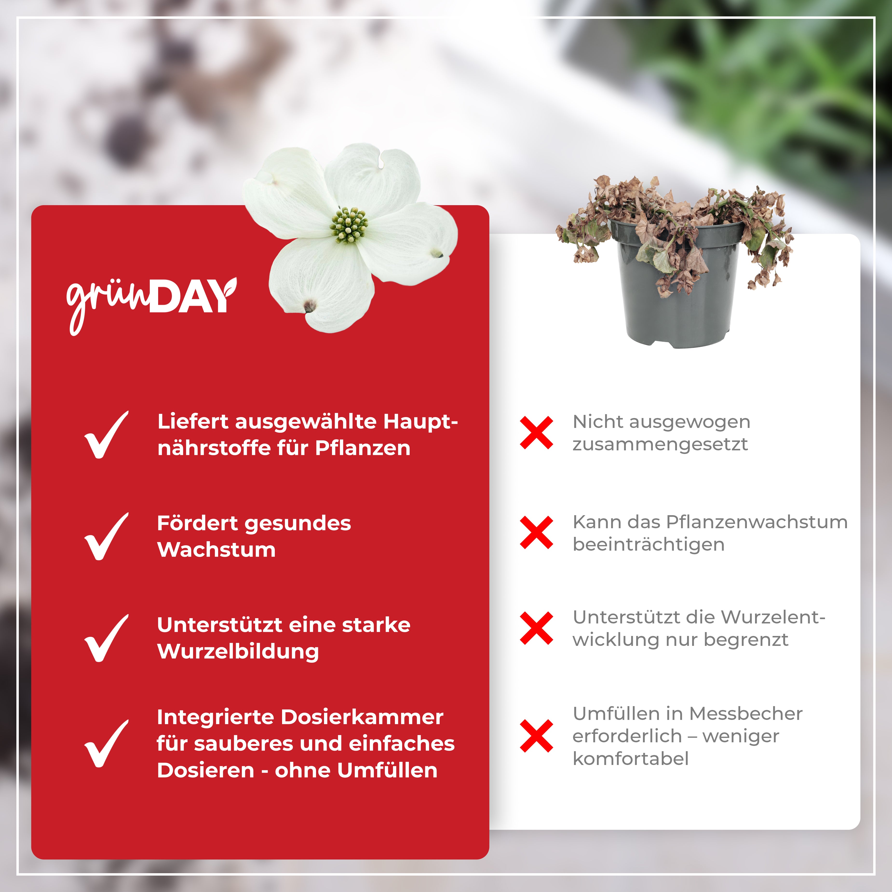 Gründay Hartriegeldünger – Produktansicht 6
