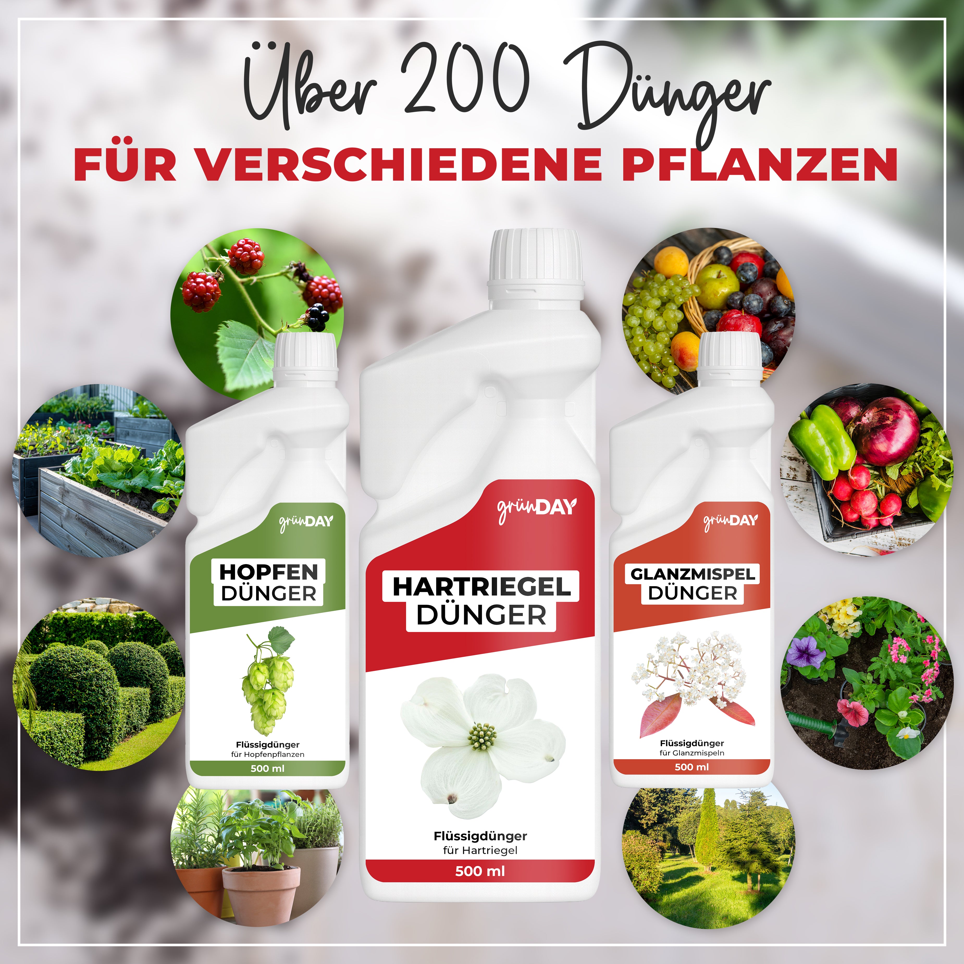 Gründay Hartriegeldünger – Produktansicht 7