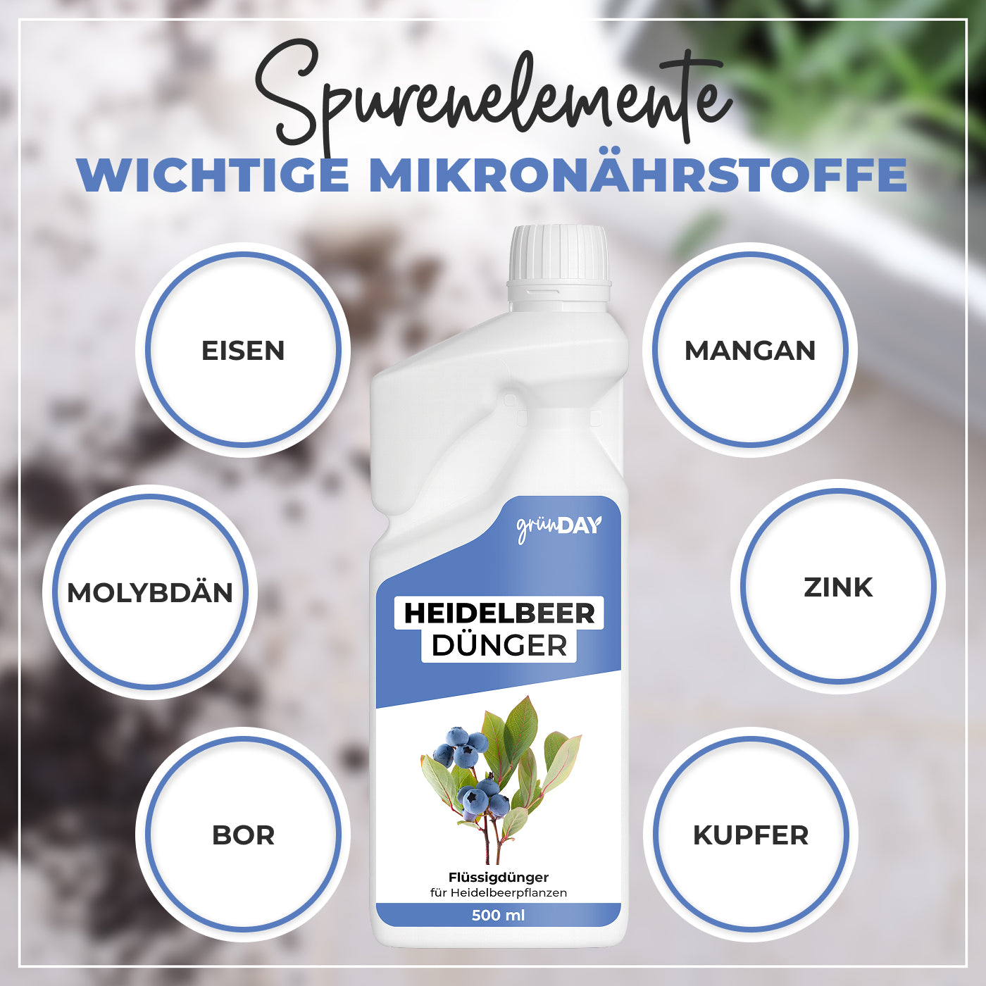 Gründay Heidelbeerdünger – Produktansicht 5