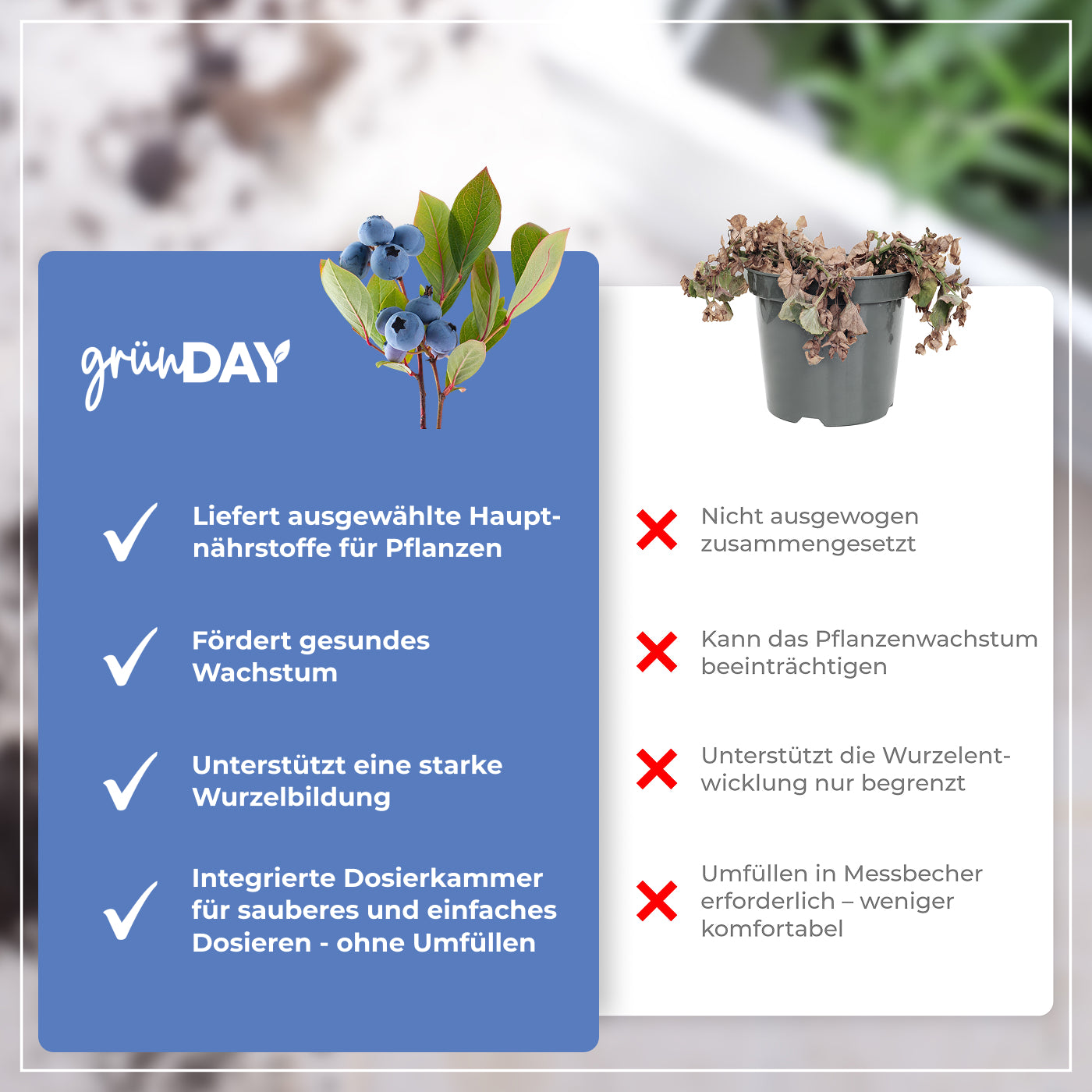 Gründay Heidelbeerdünger – Produktansicht 6