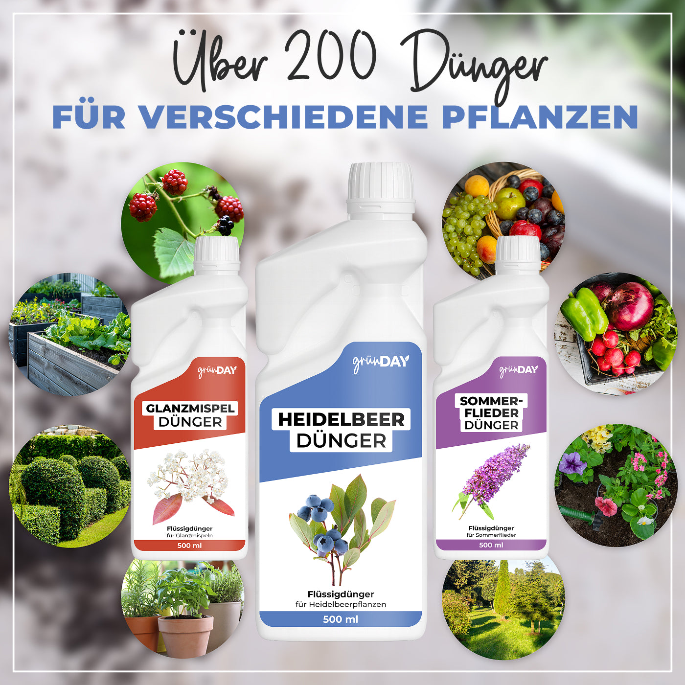 Gründay Heidelbeerdünger – Produktansicht 7