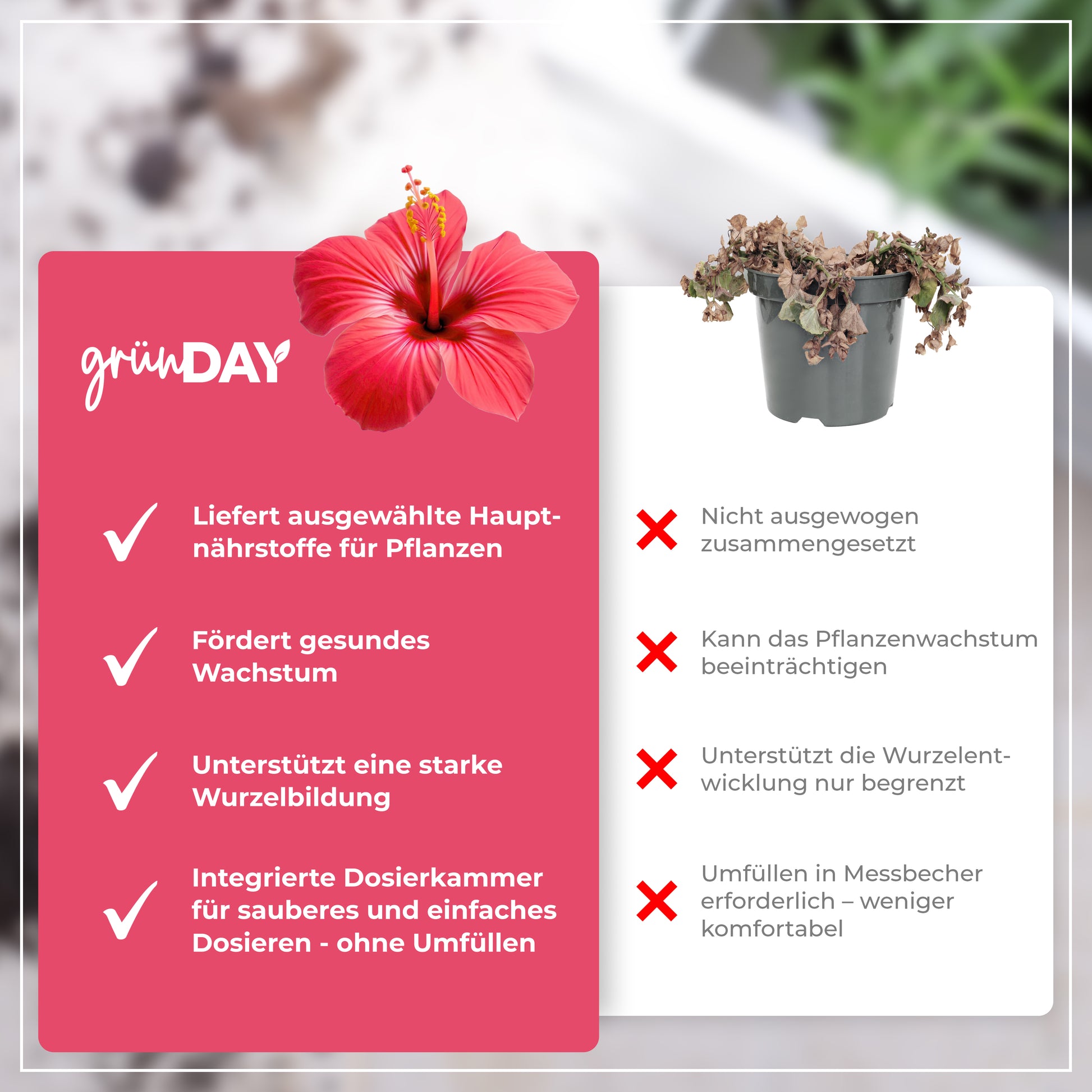 Gründay Hibiskusdünger – Produktansicht 6