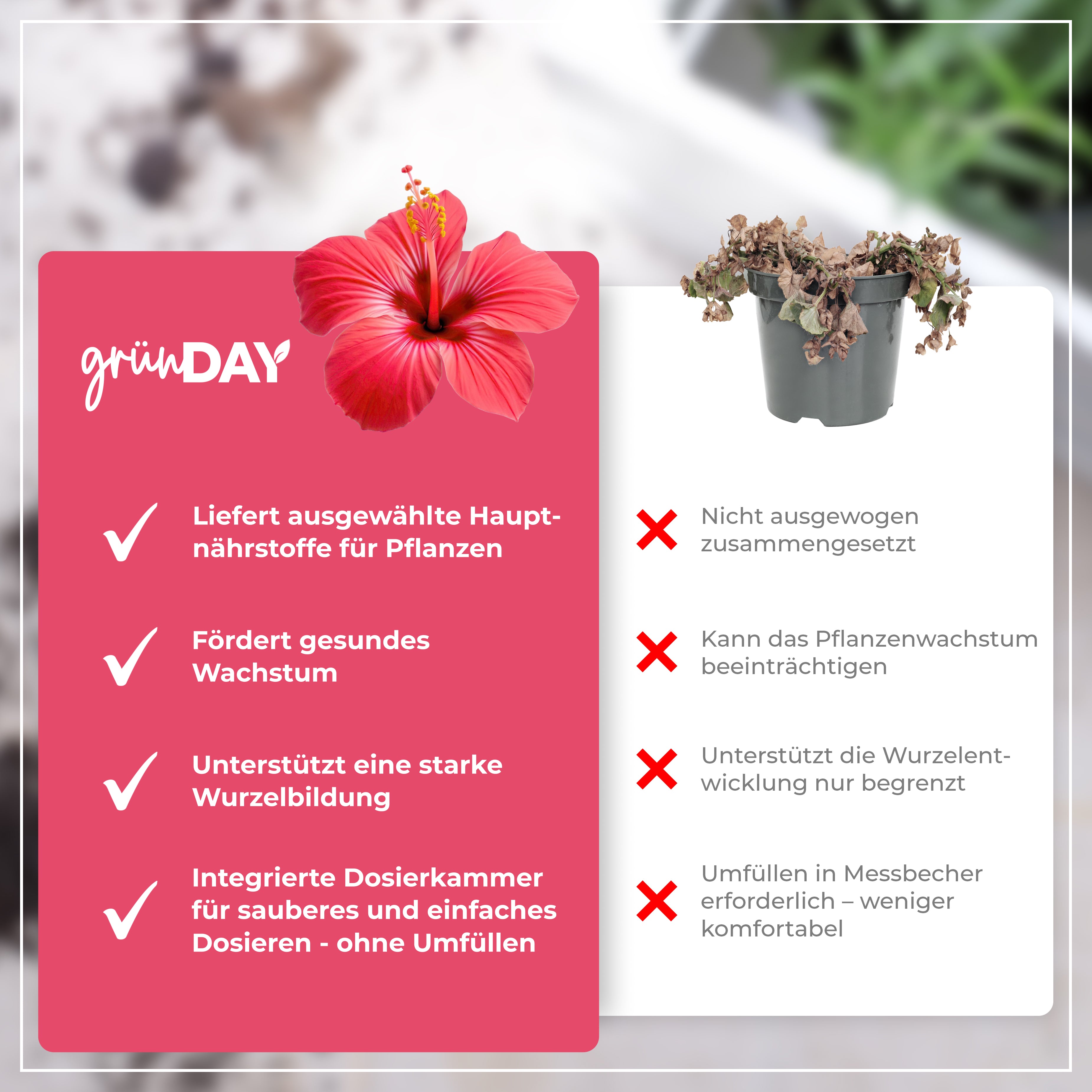 Gründay Hibiskusdünger – Produktansicht 6