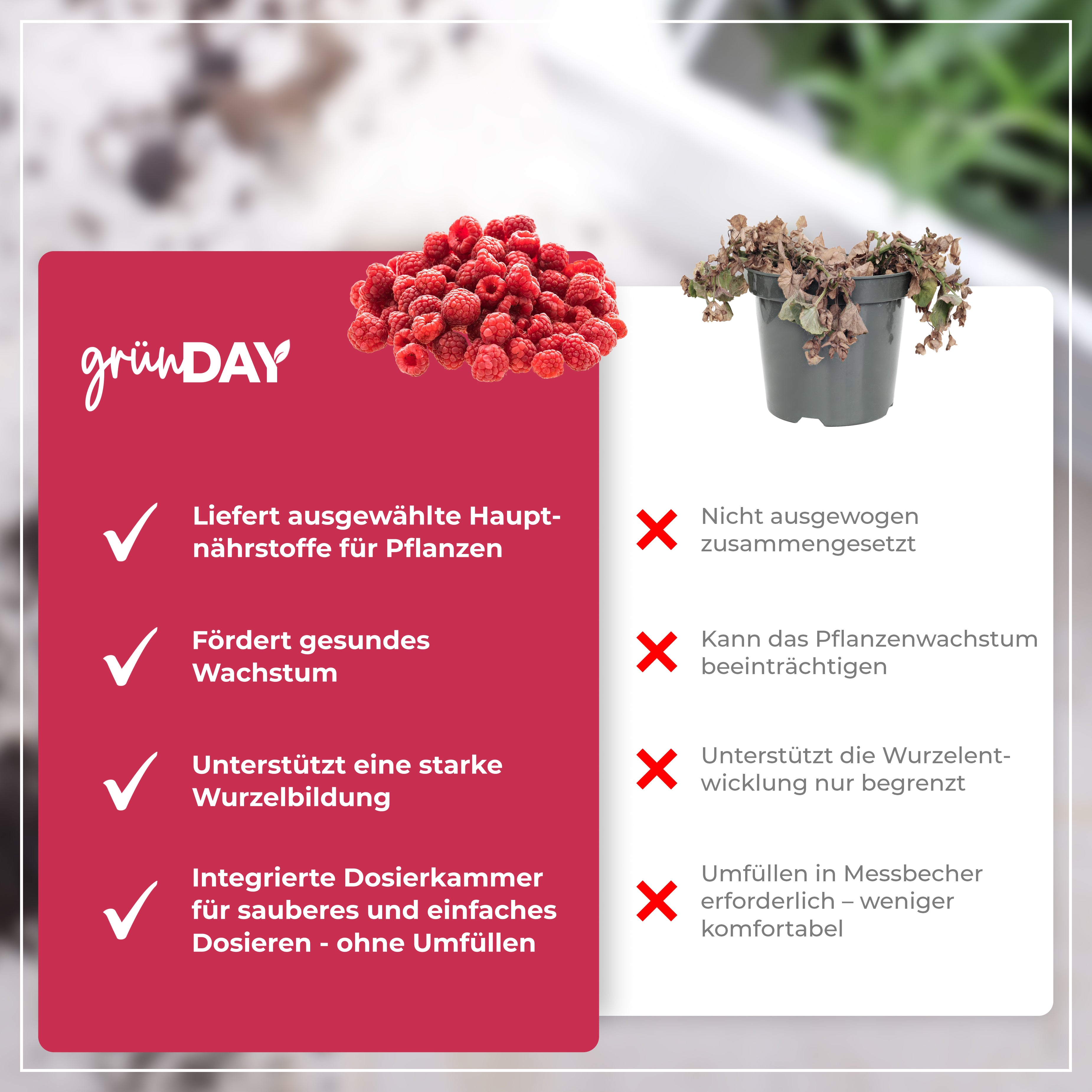 Gründay Himbeerendünger – Produktansicht 6