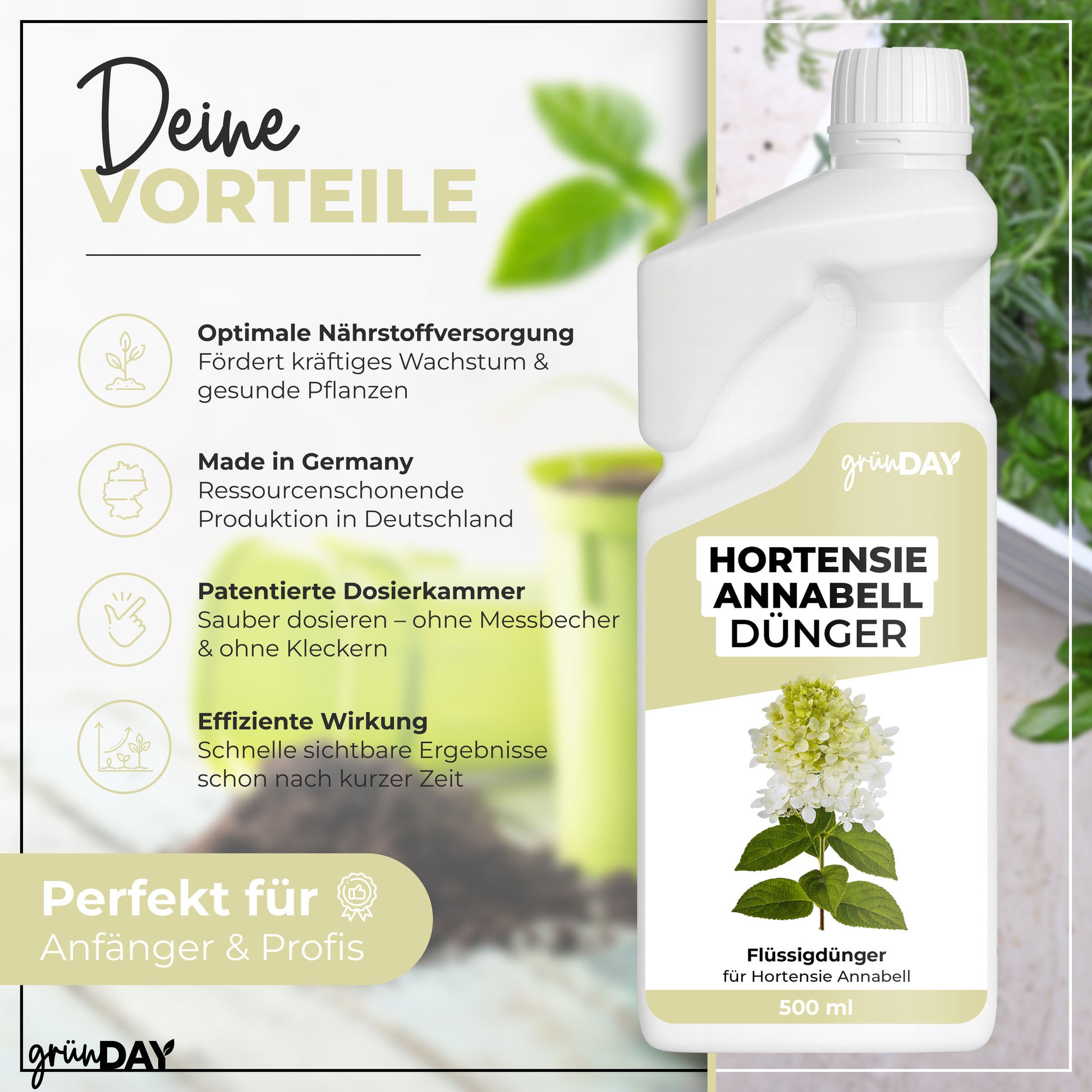 Gründay Hortensie Annabell Dünger – Produktansicht 2