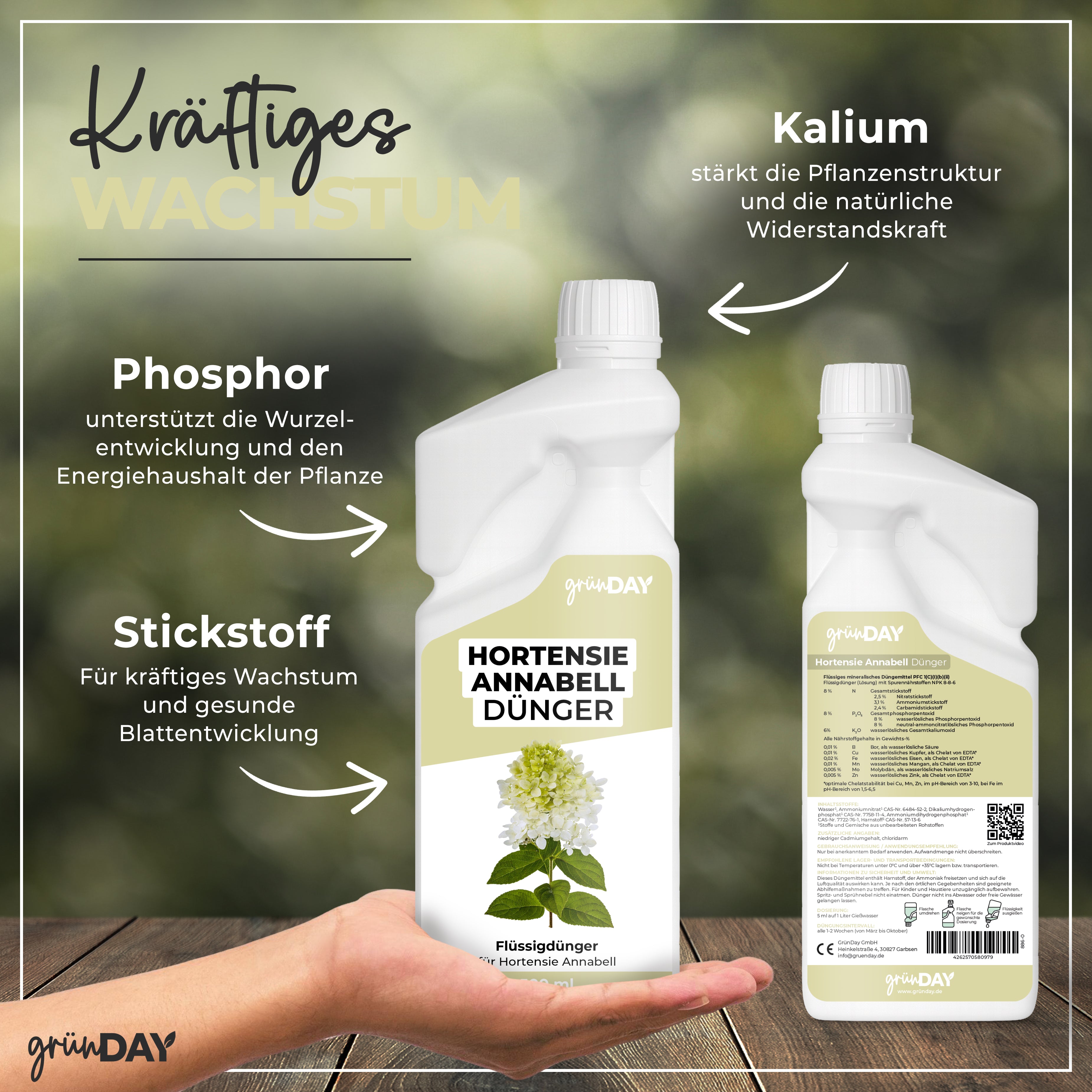 Gründay Hortensie Annabell Dünger – Produktansicht 4