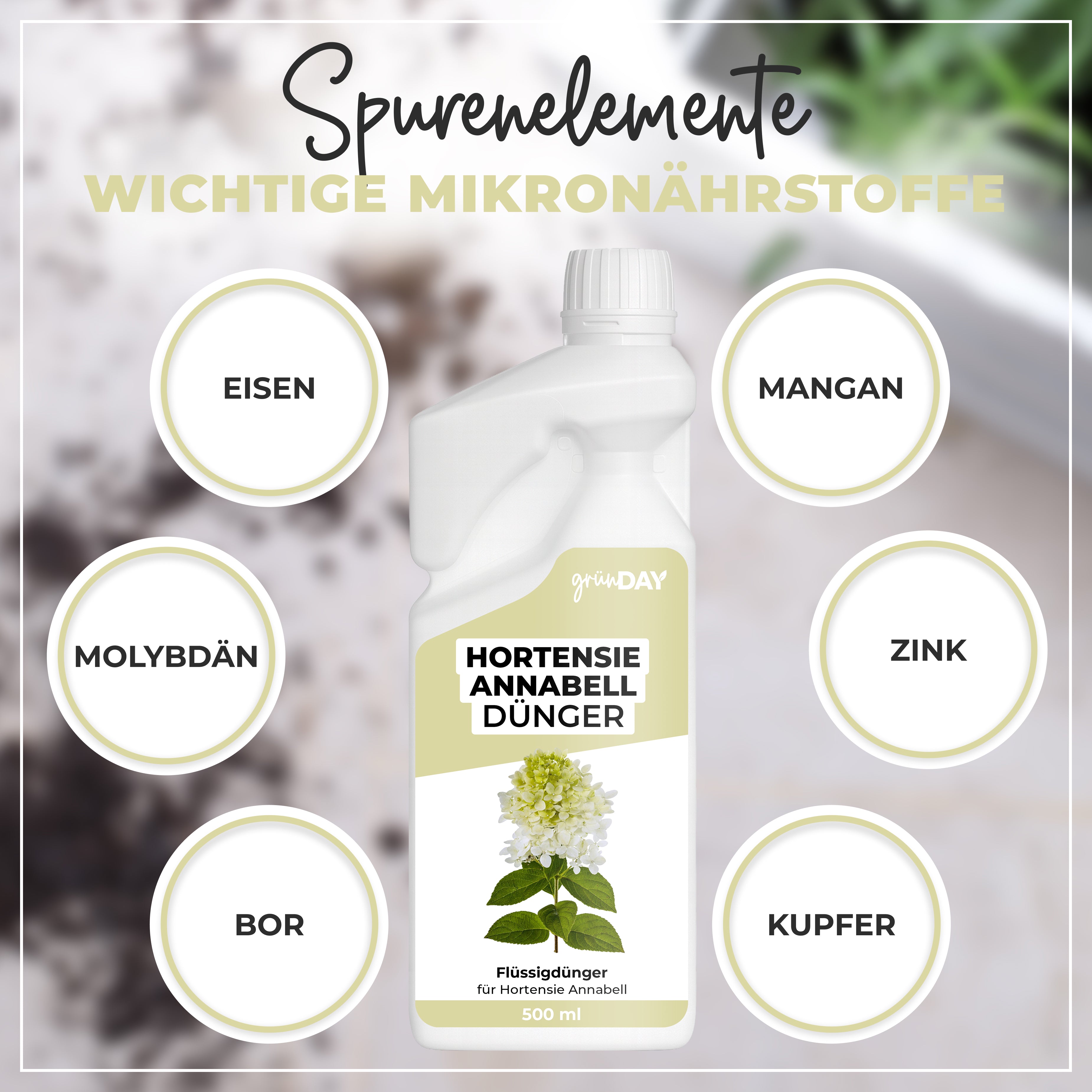 Gründay Hortensie Annabell Dünger – Produktansicht 5