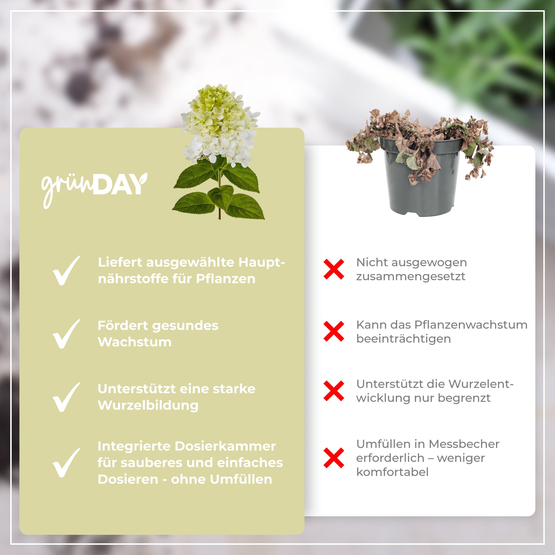 Gründay Hortensie Annabell Dünger – Produktansicht 6