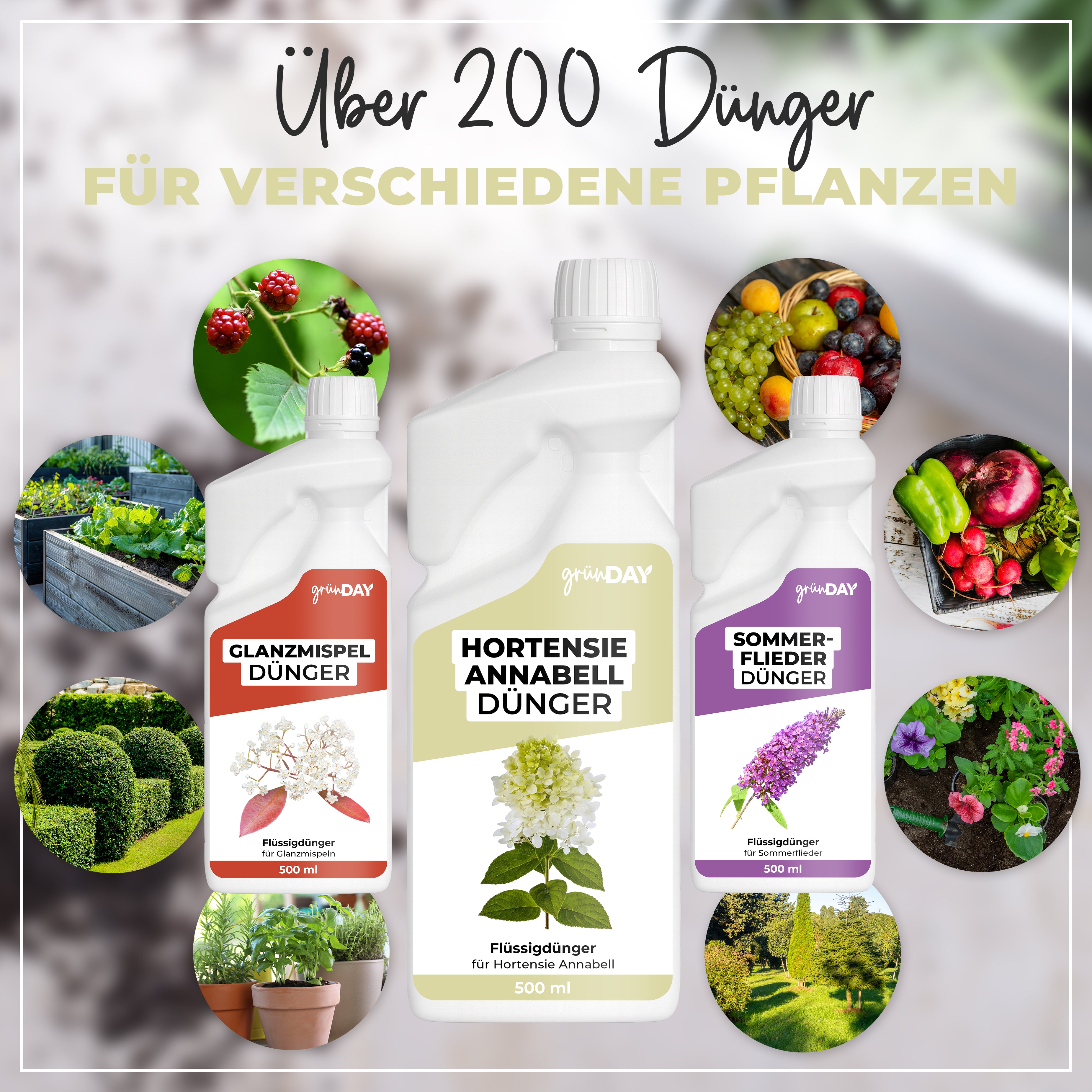 Gründay Hortensie Annabell Dünger – Produktansicht 7