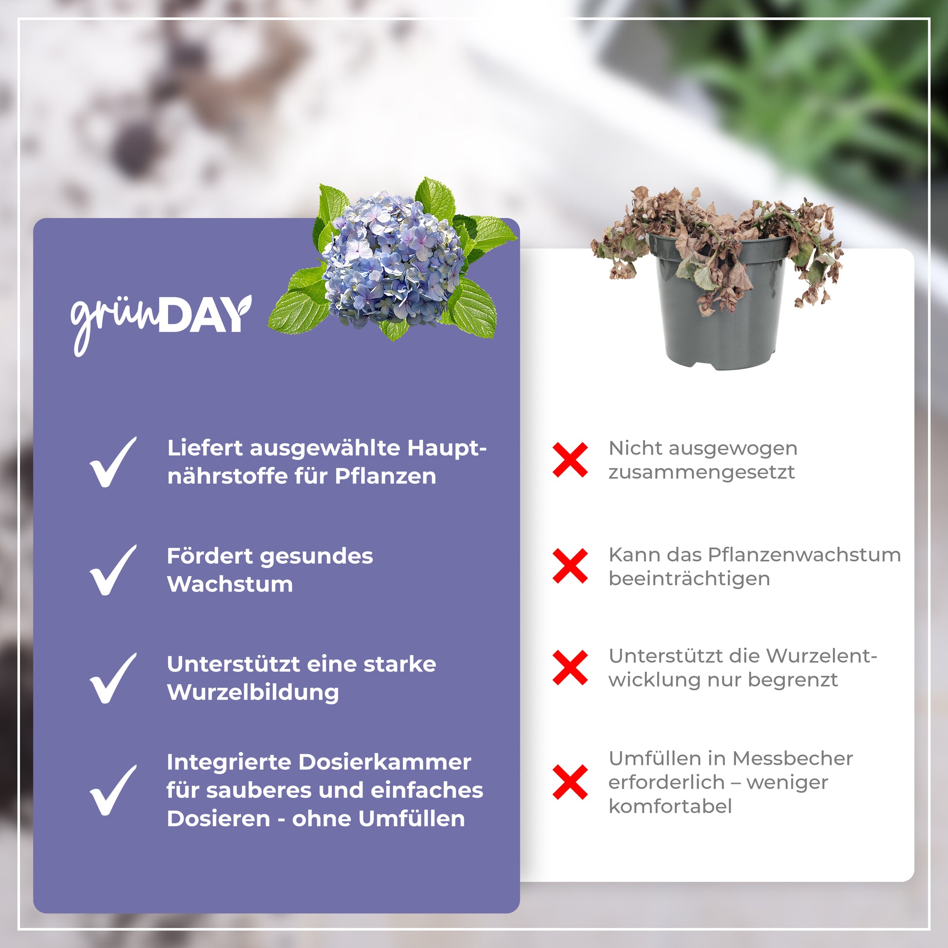 Gründay Hortensiendünger – Produktansicht 6
