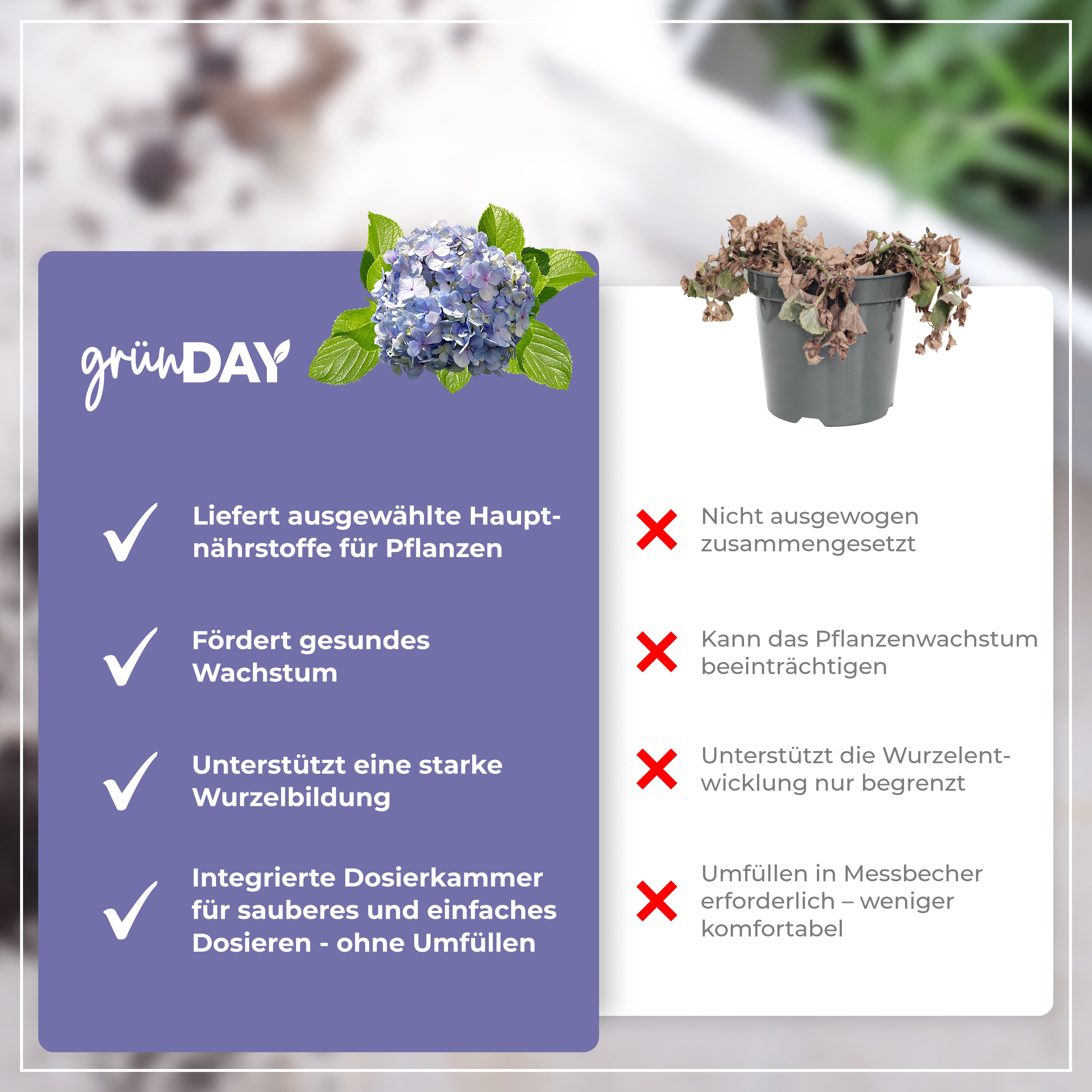 Gründay Hortensiendünger – Produktansicht 6