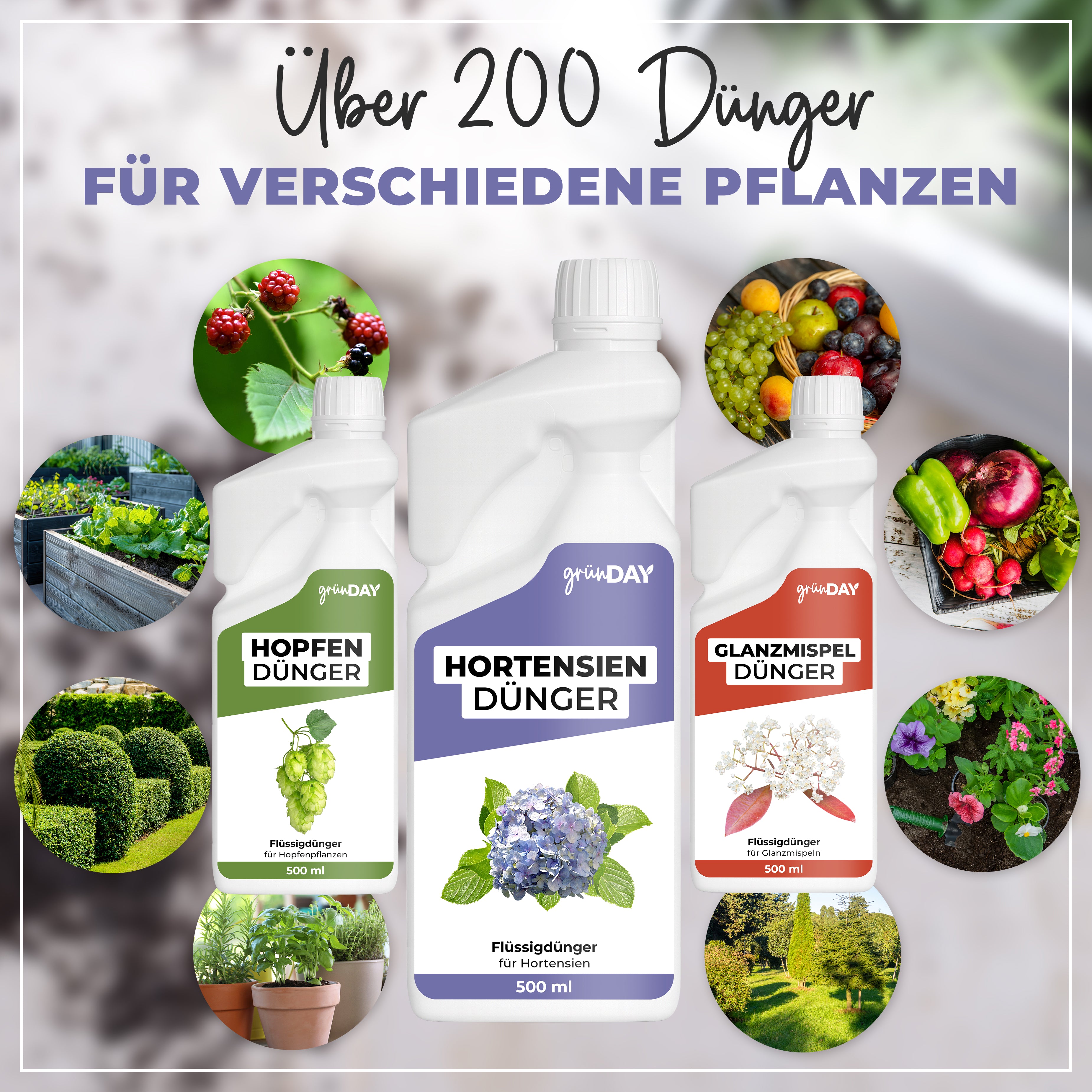 Gründay Hortensiendünger – Produktansicht 7