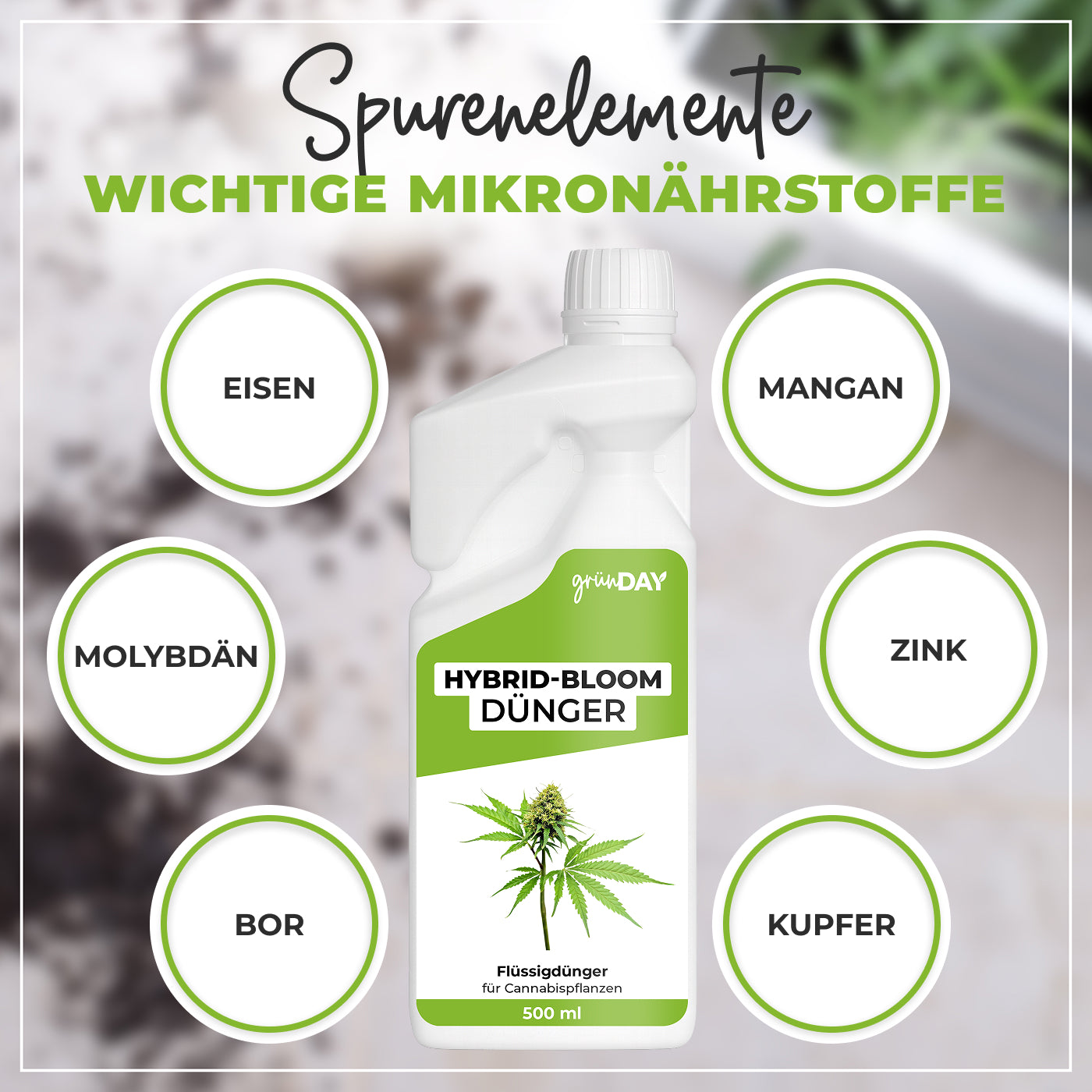 Gründay Hybrid-Bloom-Dünger – Produktansicht 5
