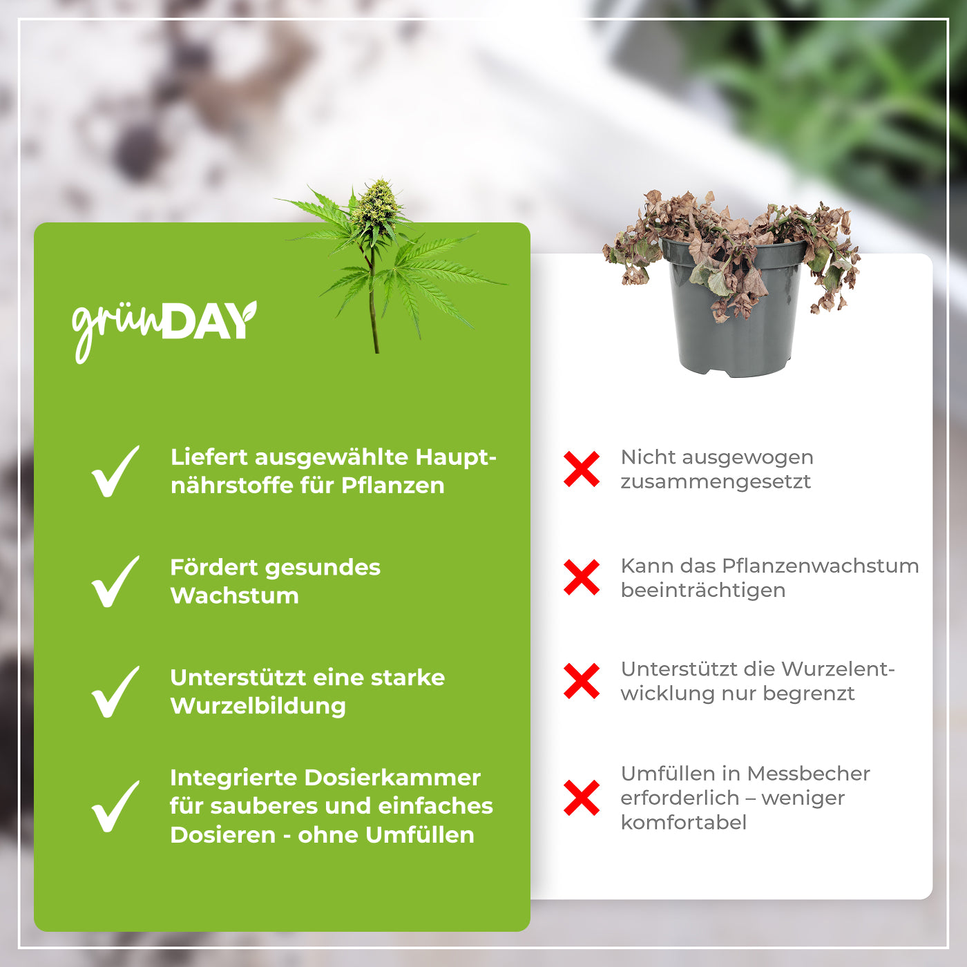 Gründay Hybrid-Bloom-Dünger – Produktansicht 6