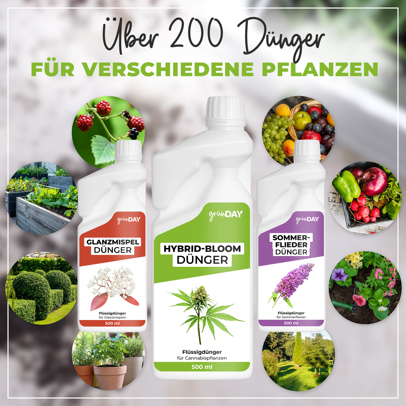 Gründay Hybrid-Bloom-Dünger – Produktansicht 7