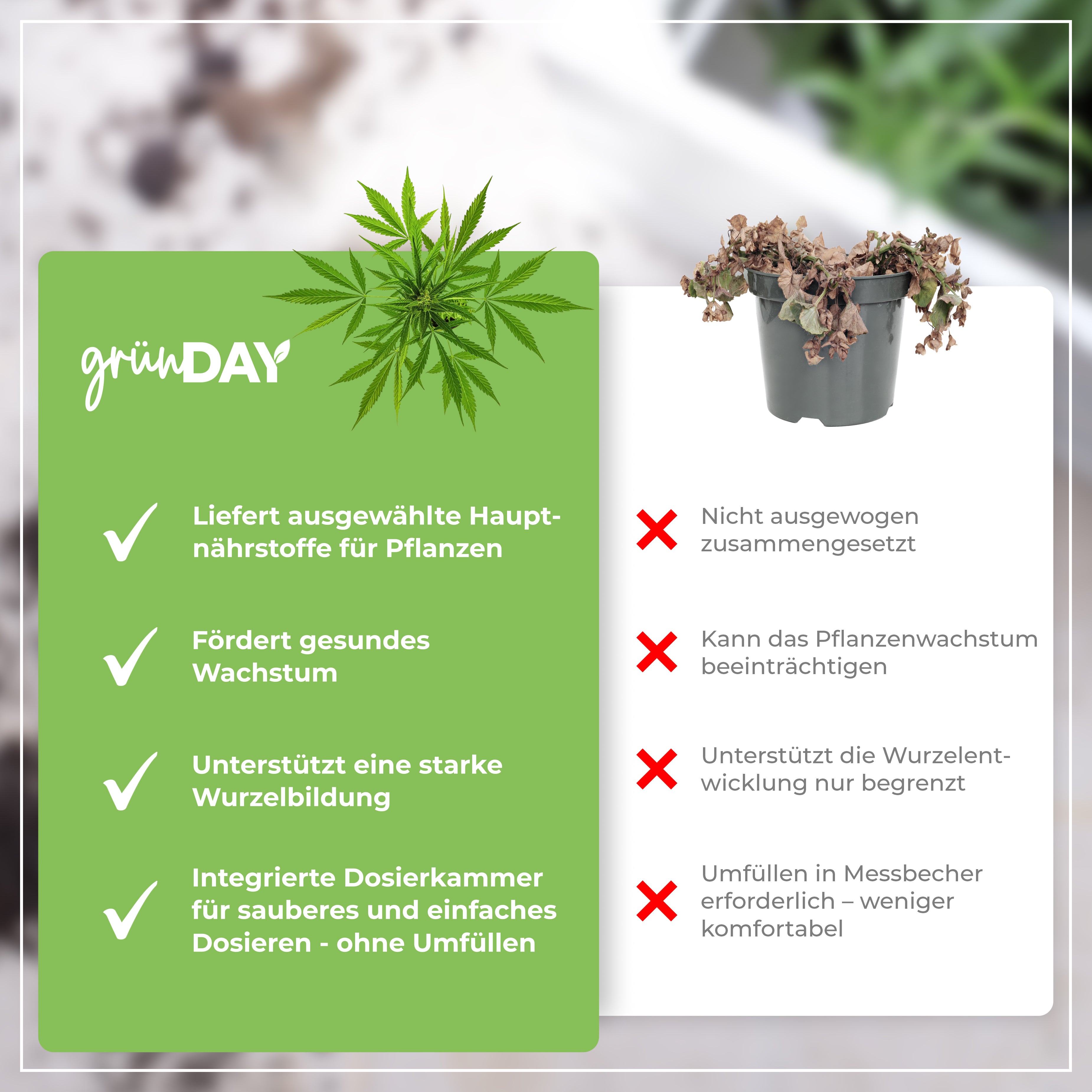 Gründay Hybrid-Grow-Dünger – Produktansicht 6