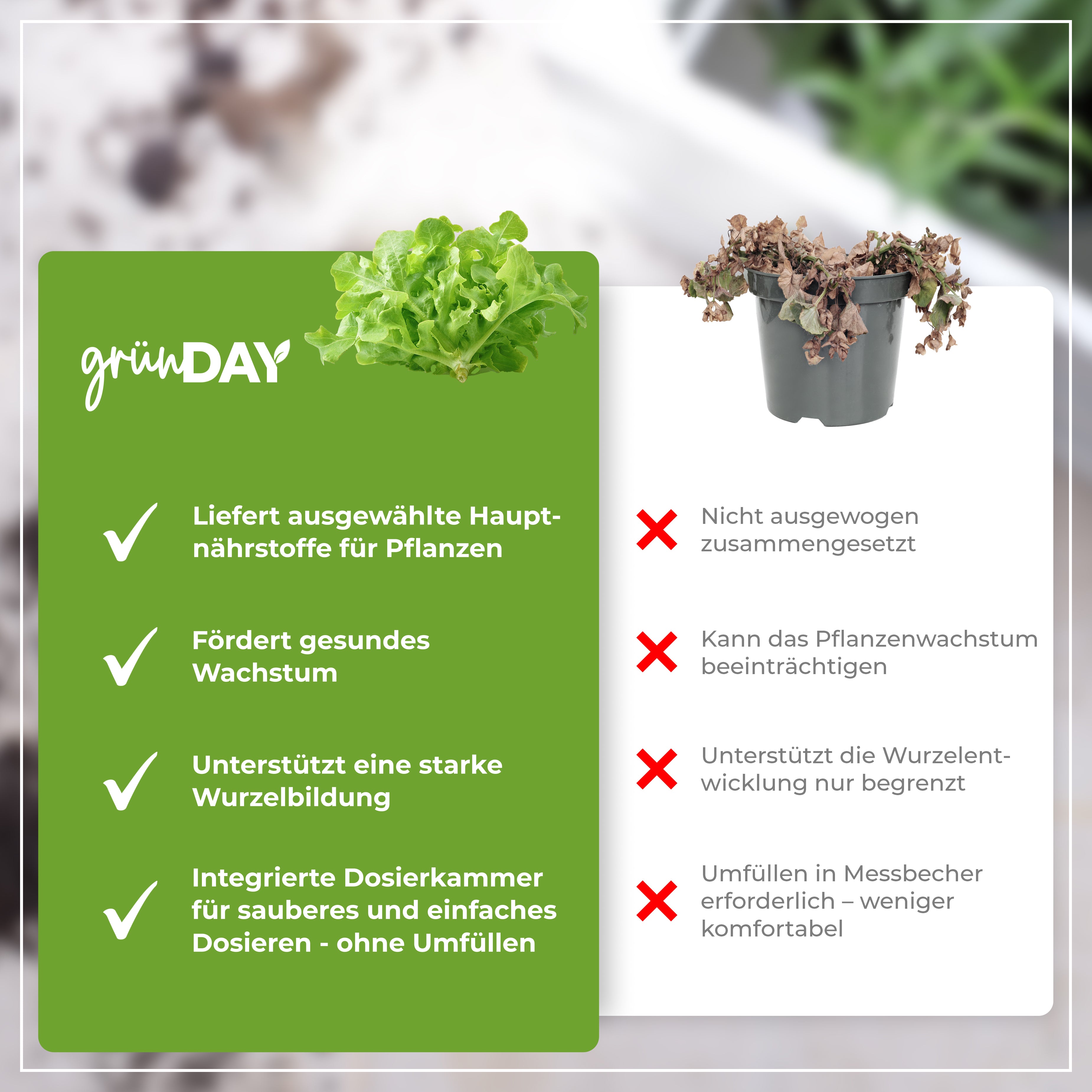 Gründay Hydroponik-Dünger – Produktansicht 6