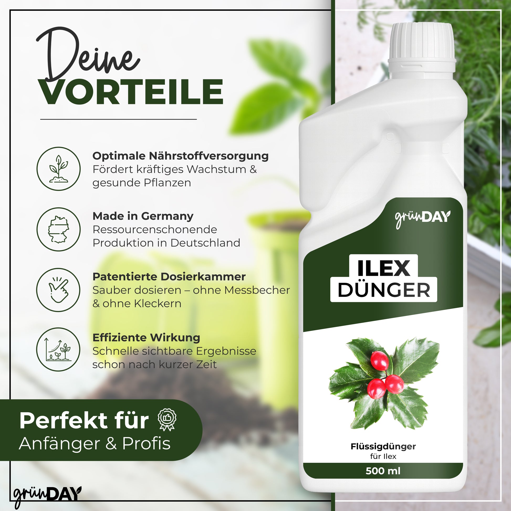 Gründay Ilex Dünger – Produktansicht 2