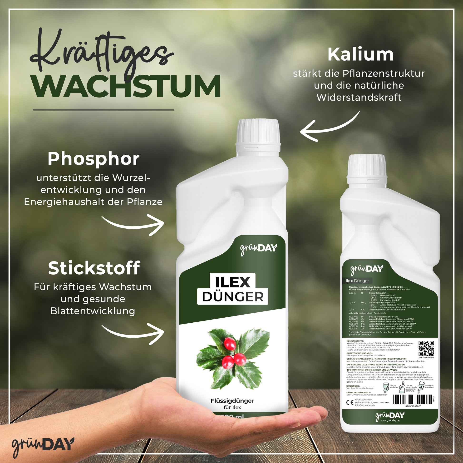 Gründay Ilex Dünger – Produktansicht 4