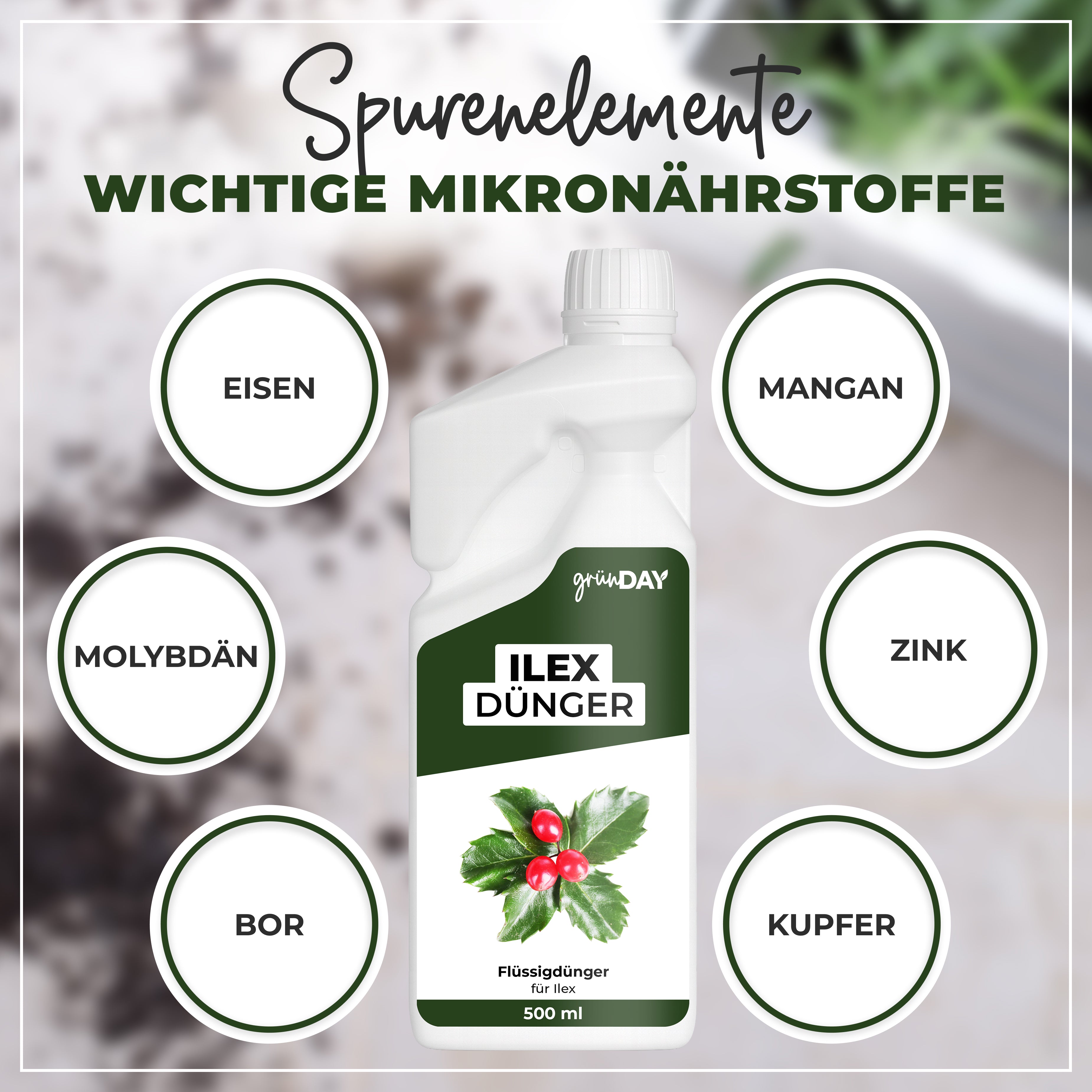 Gründay Ilex Dünger – Produktansicht 5