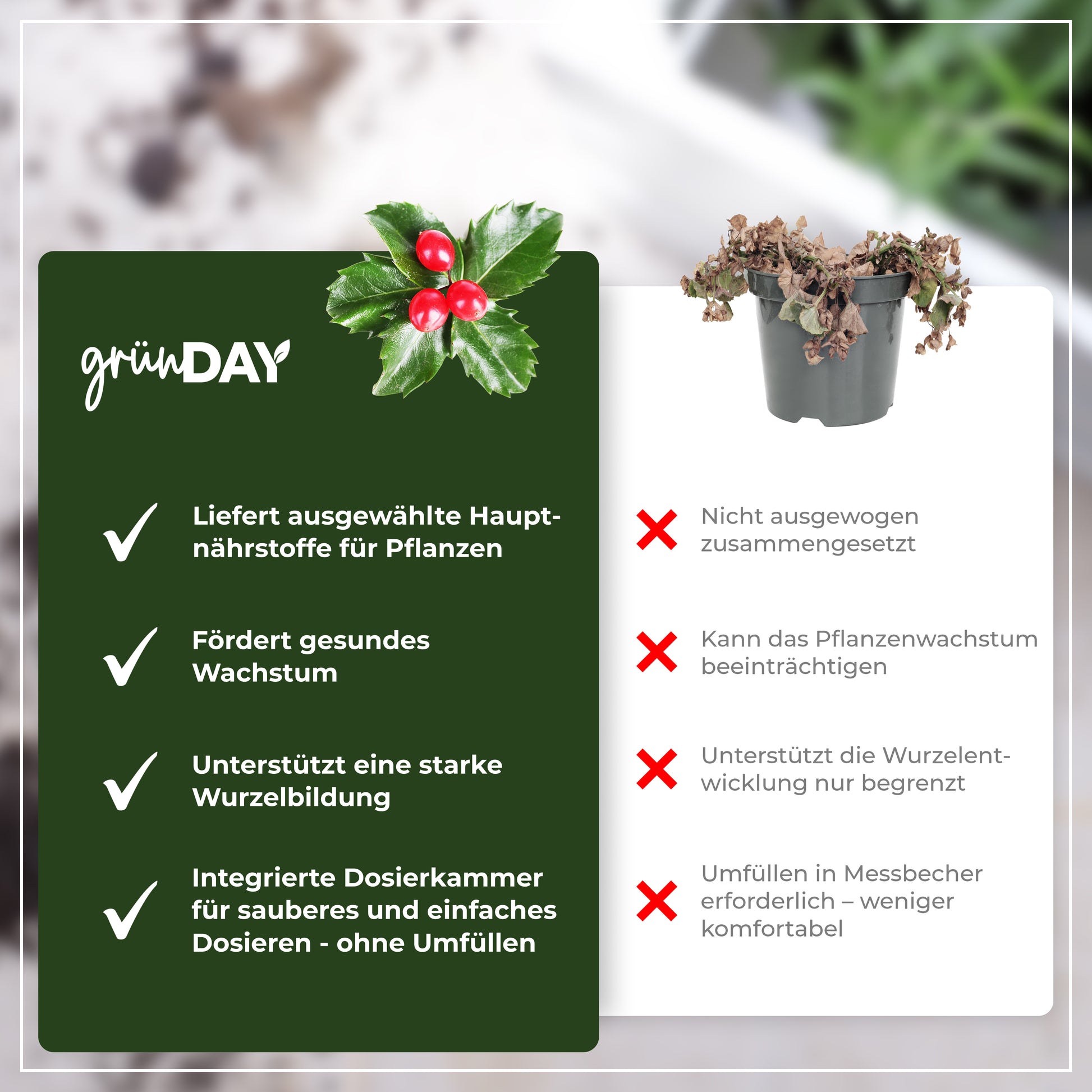 Gründay Ilex Dünger – Produktansicht 6