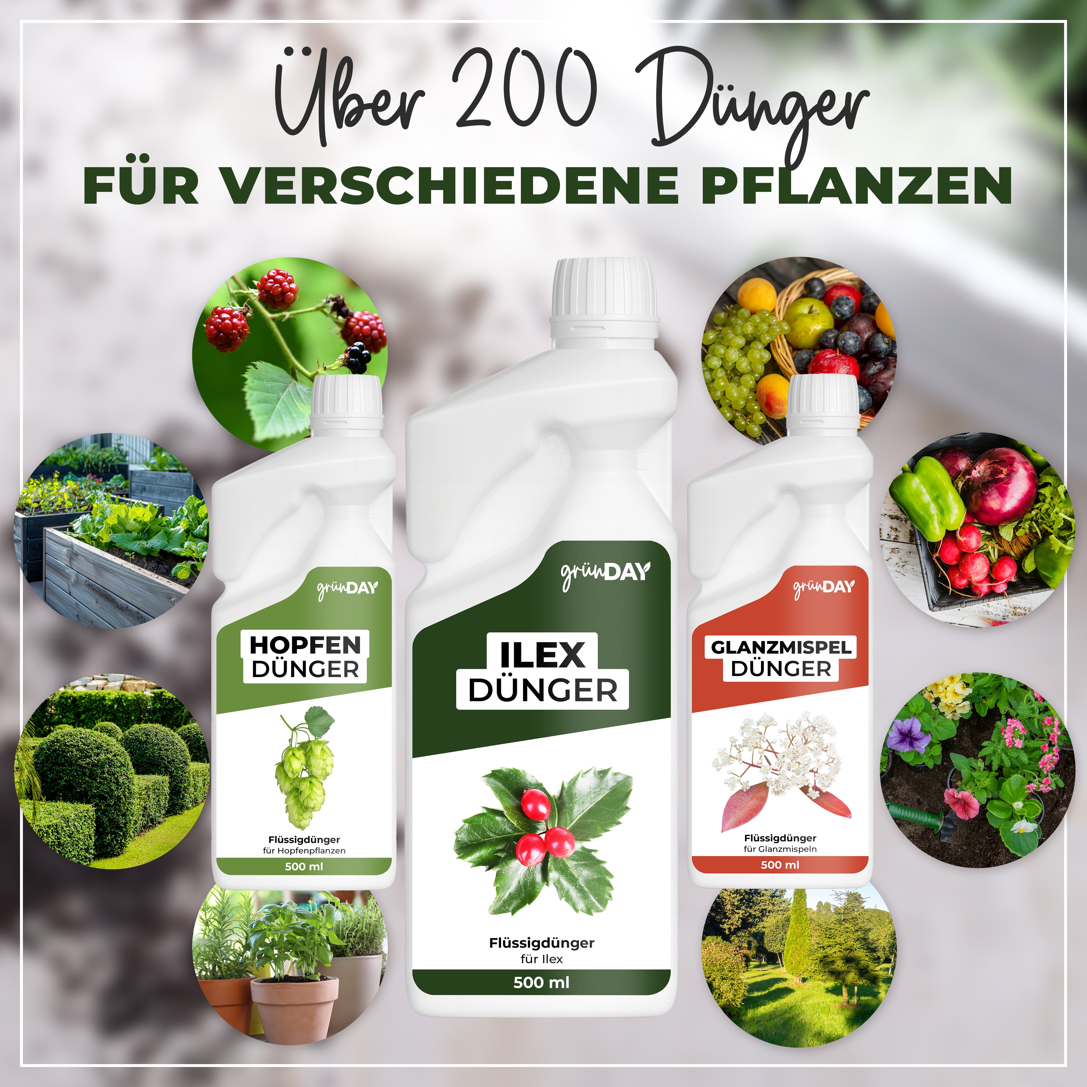 Gründay Ilex Dünger – Produktansicht 7