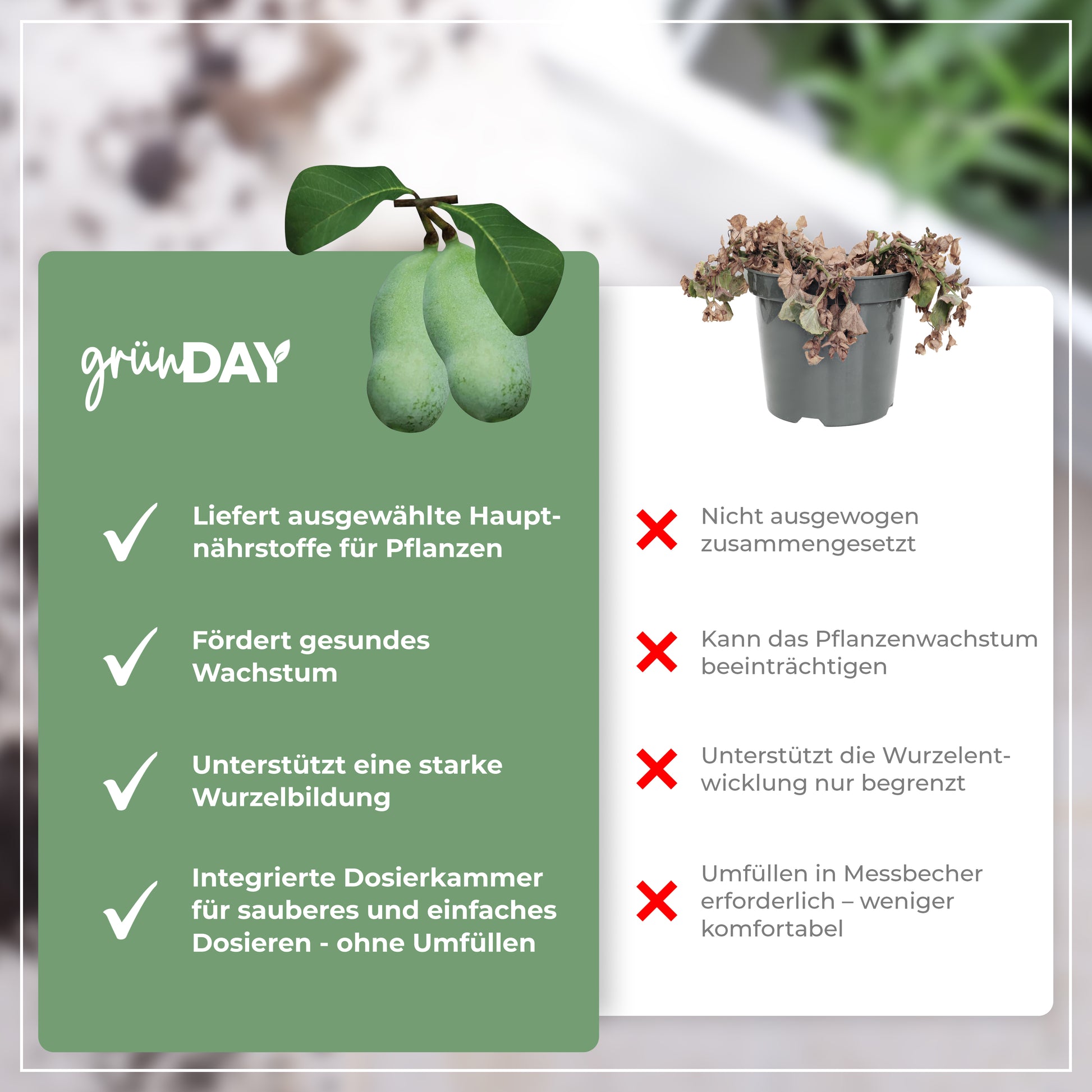 Gründay Indianerbanane Dünger – Produktansicht 6