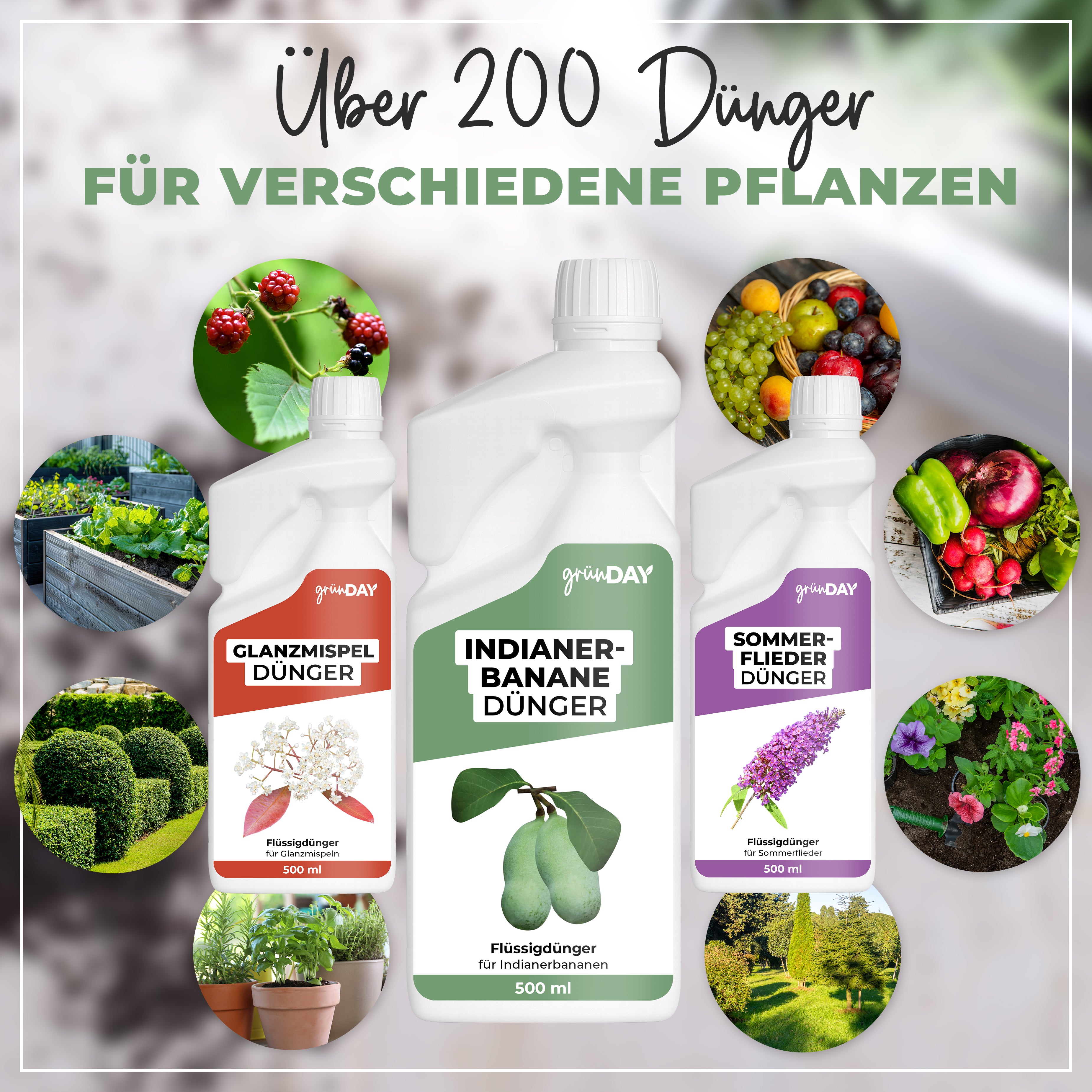 Gründay Indianerbanane Dünger – Produktansicht 7