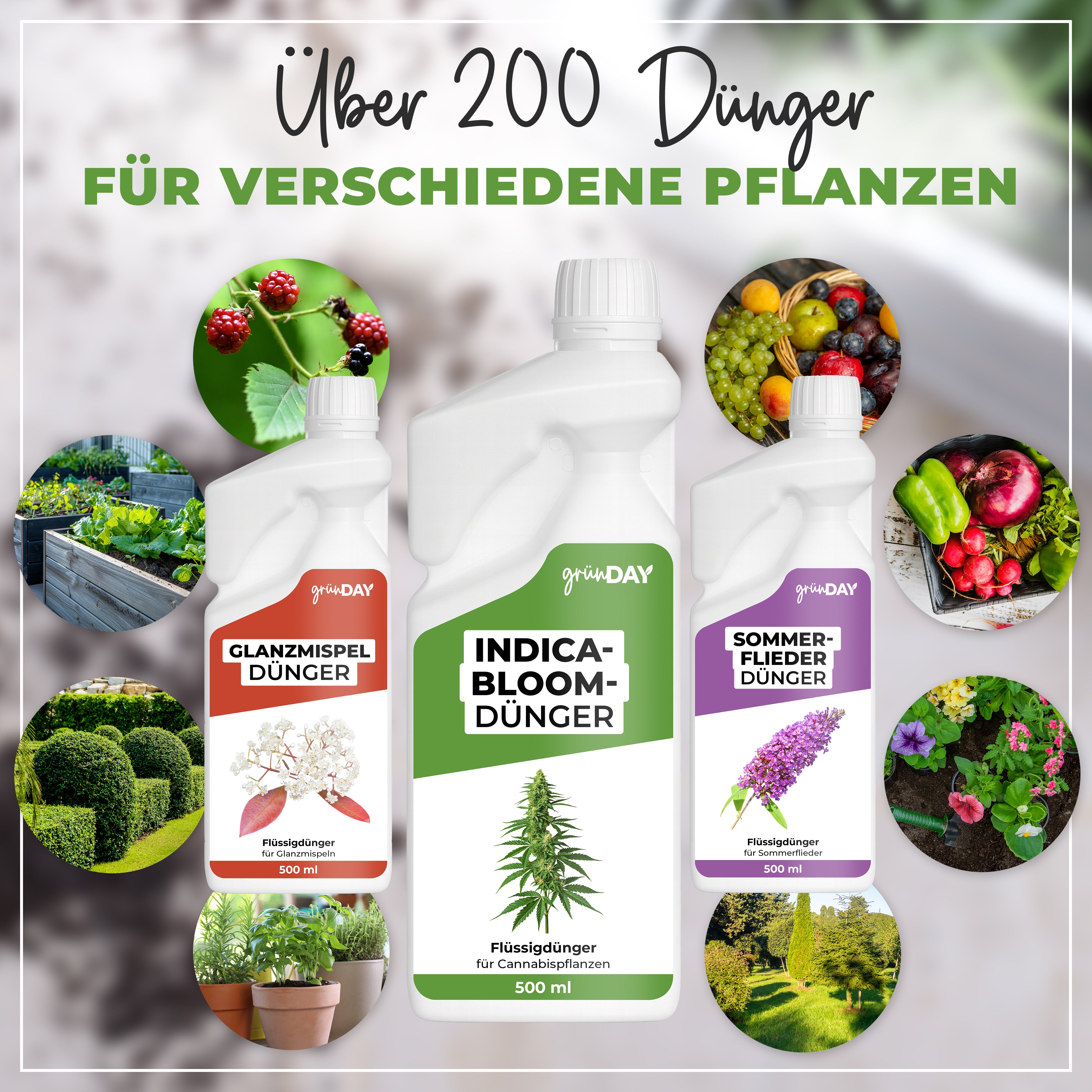 Gründay Indica-Bloom-Dünger – Produktansicht 7