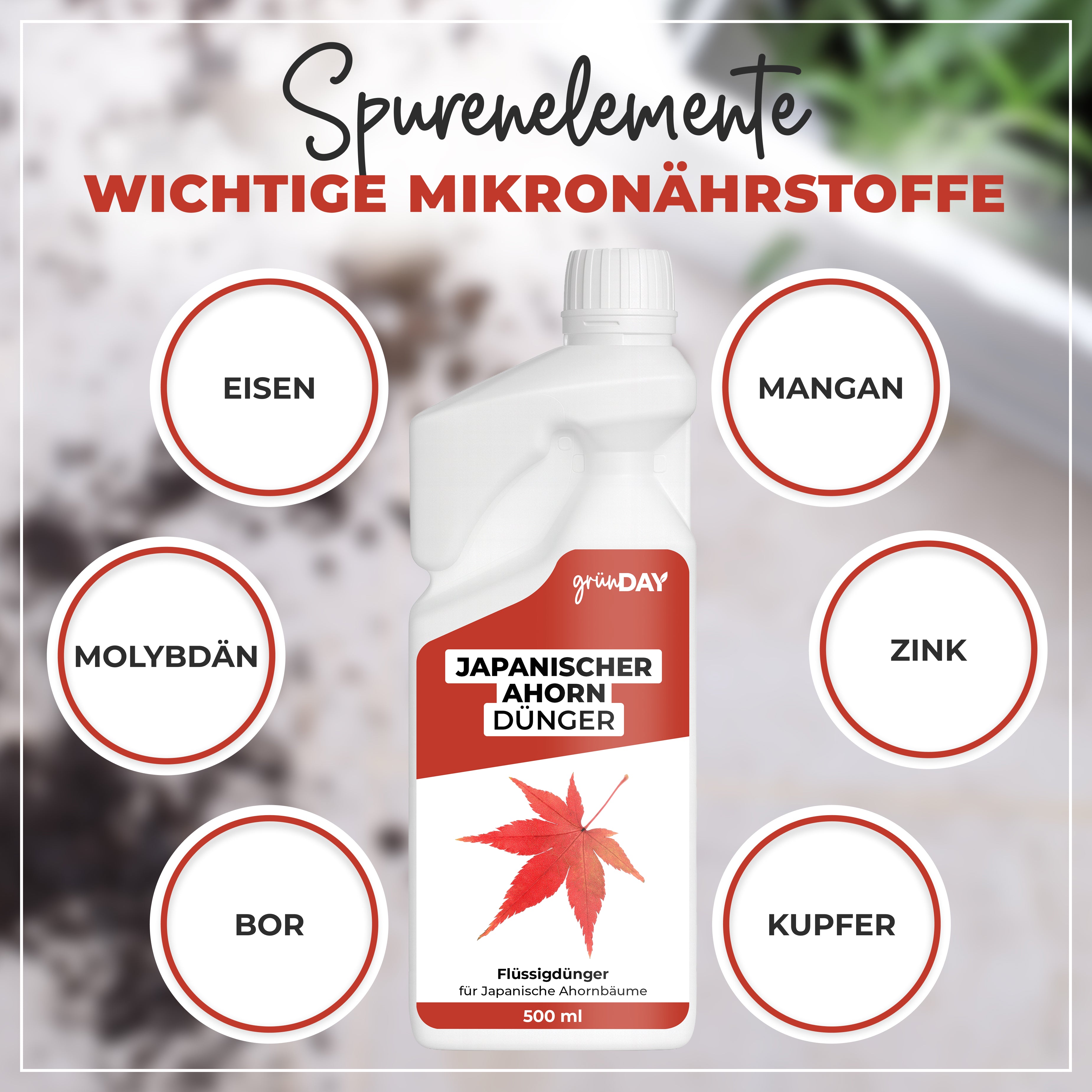 Gründay Japanischer Ahorn Dünger – Produktansicht 5