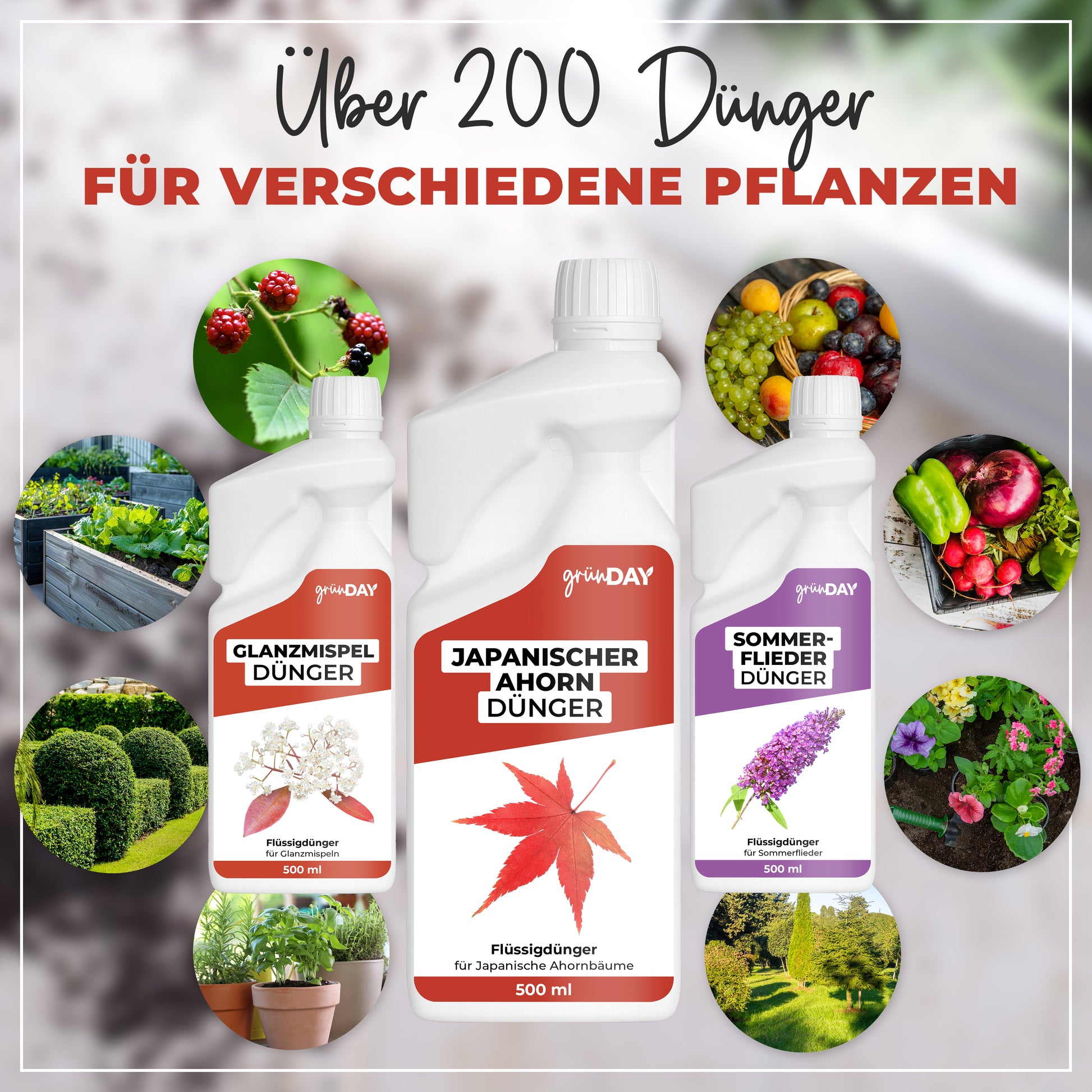Gründay Japanischer Ahorn Dünger – Produktansicht 7